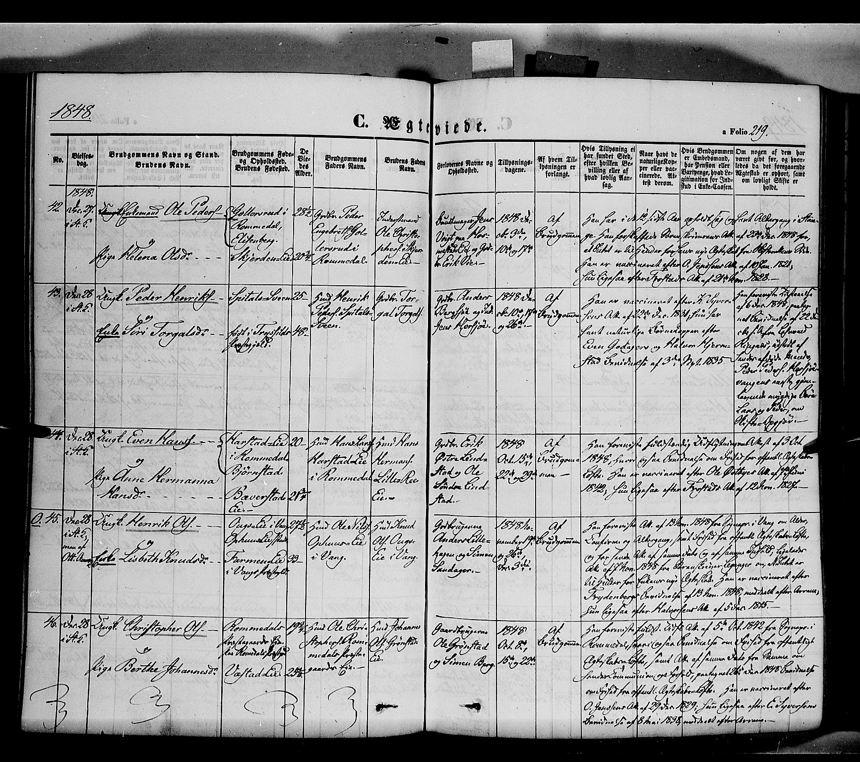 Stange prestekontor, SAH/PREST-002/K/L0011: Parish register (official) no. 11, 1846-1852, p. 219