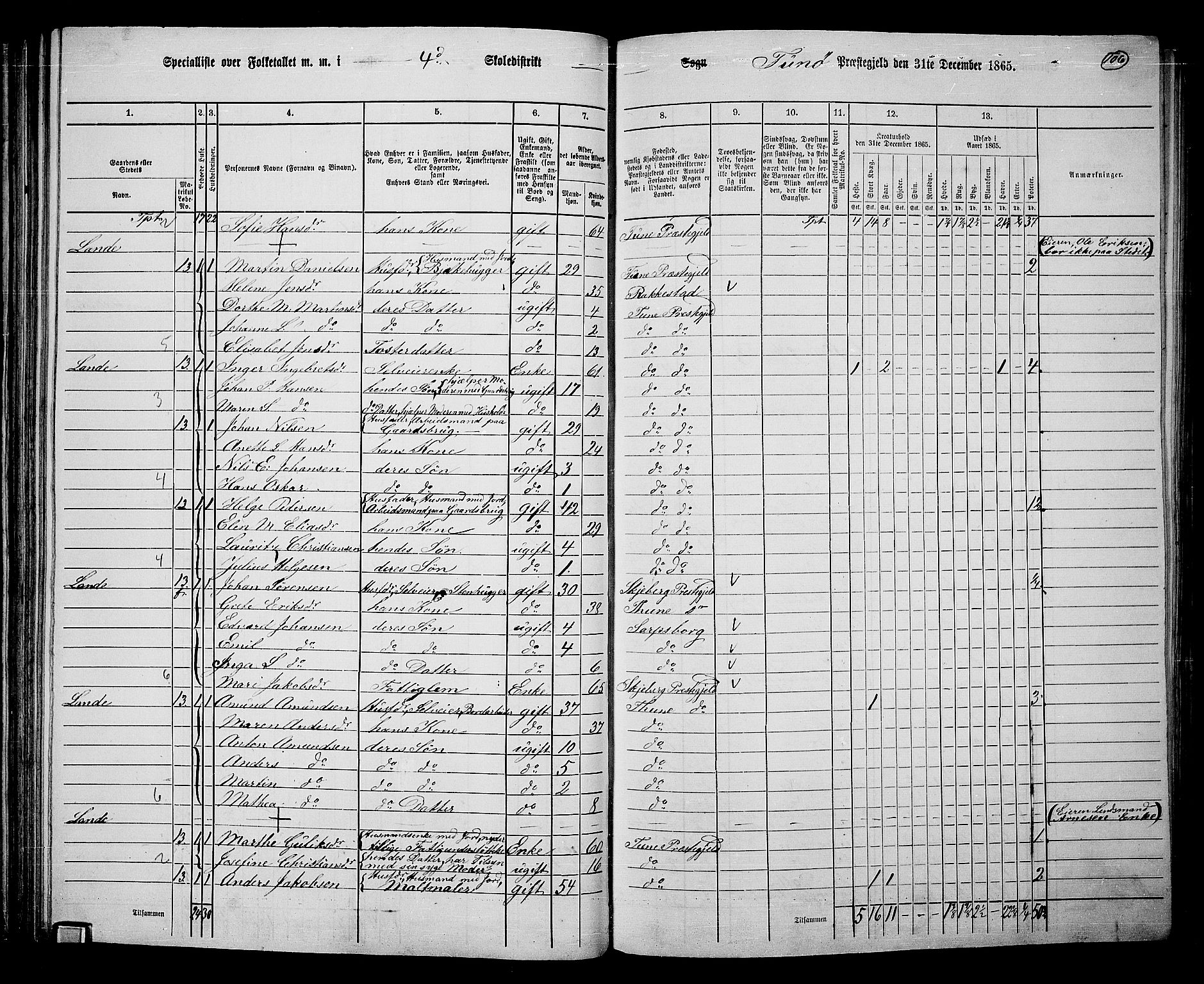 RA, 1865 census for Tune, 1865, p. 99