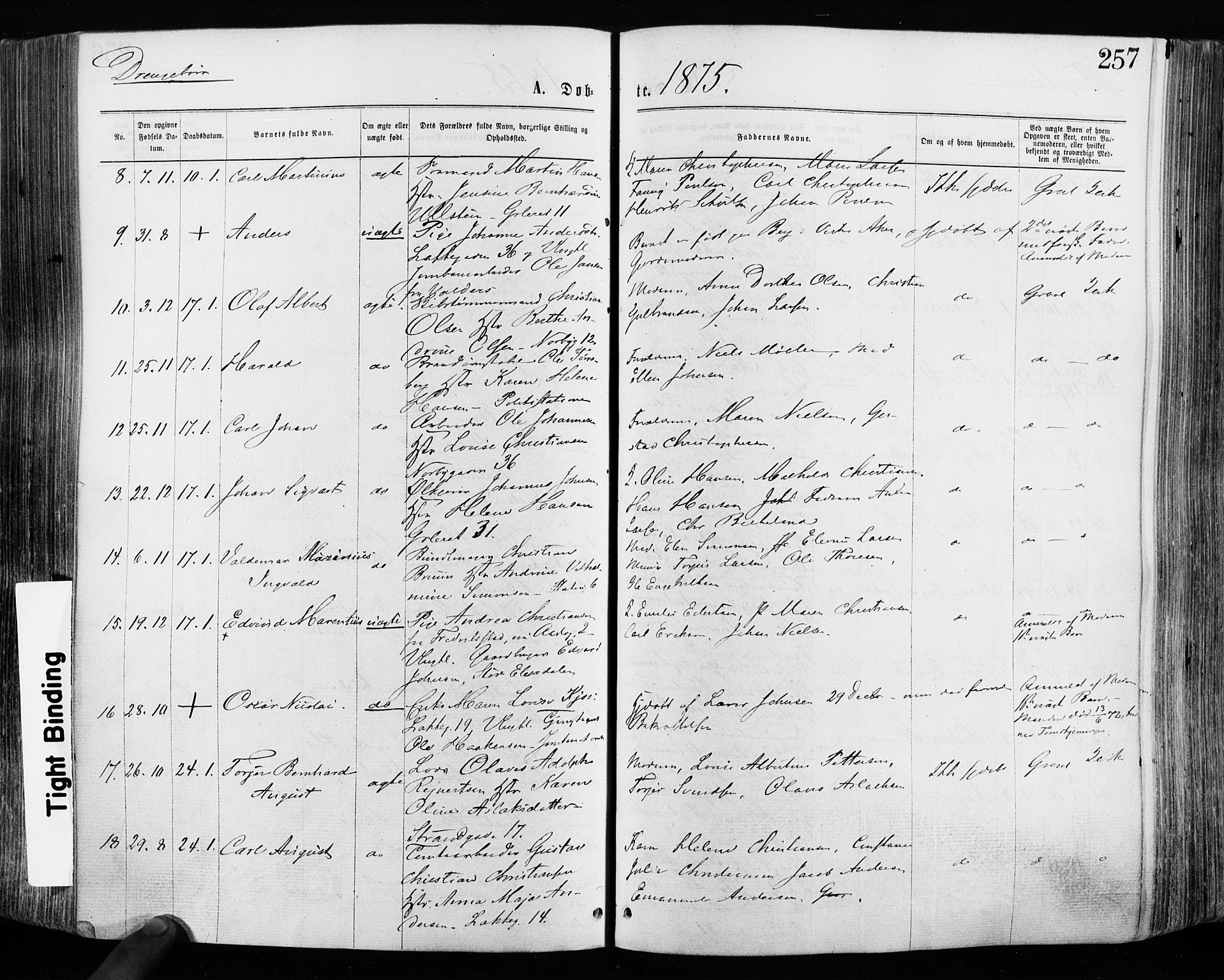Grønland prestekontor Kirkebøker, SAO/A-10848/F/Fa/L0004: Parish register (official) no. 4, 1869-1880, p. 257