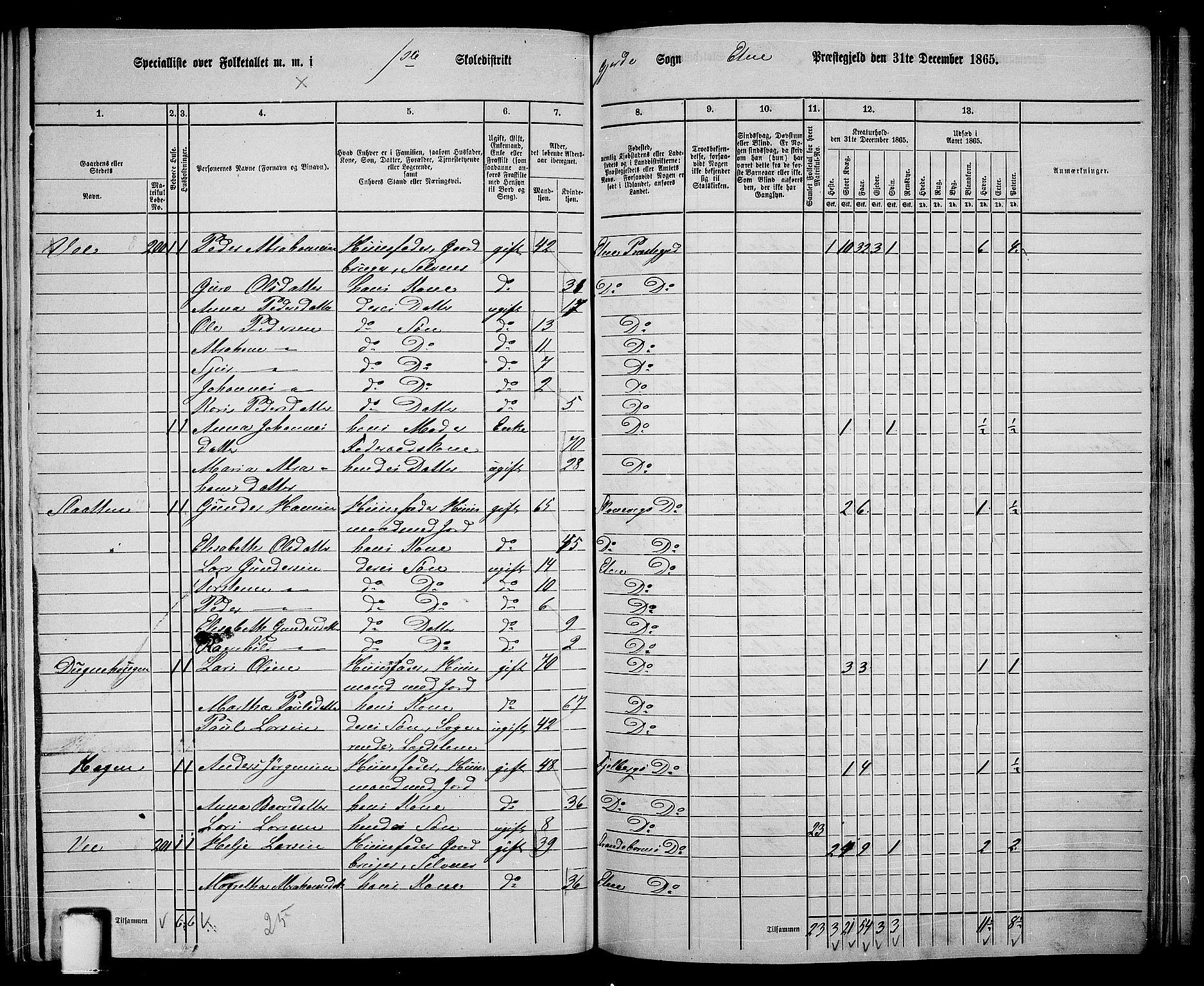 RA, 1865 census for Etne, 1865, p. 147