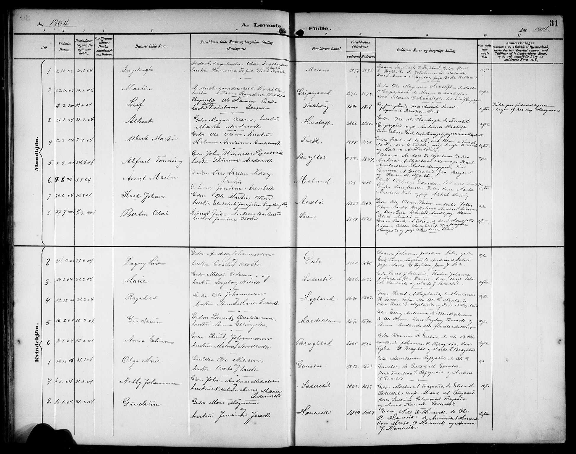 Alversund Sokneprestembete, SAB/A-73901/H/Ha/Hab: Parish register (copy) no. C 4, 1894-1924, p. 31