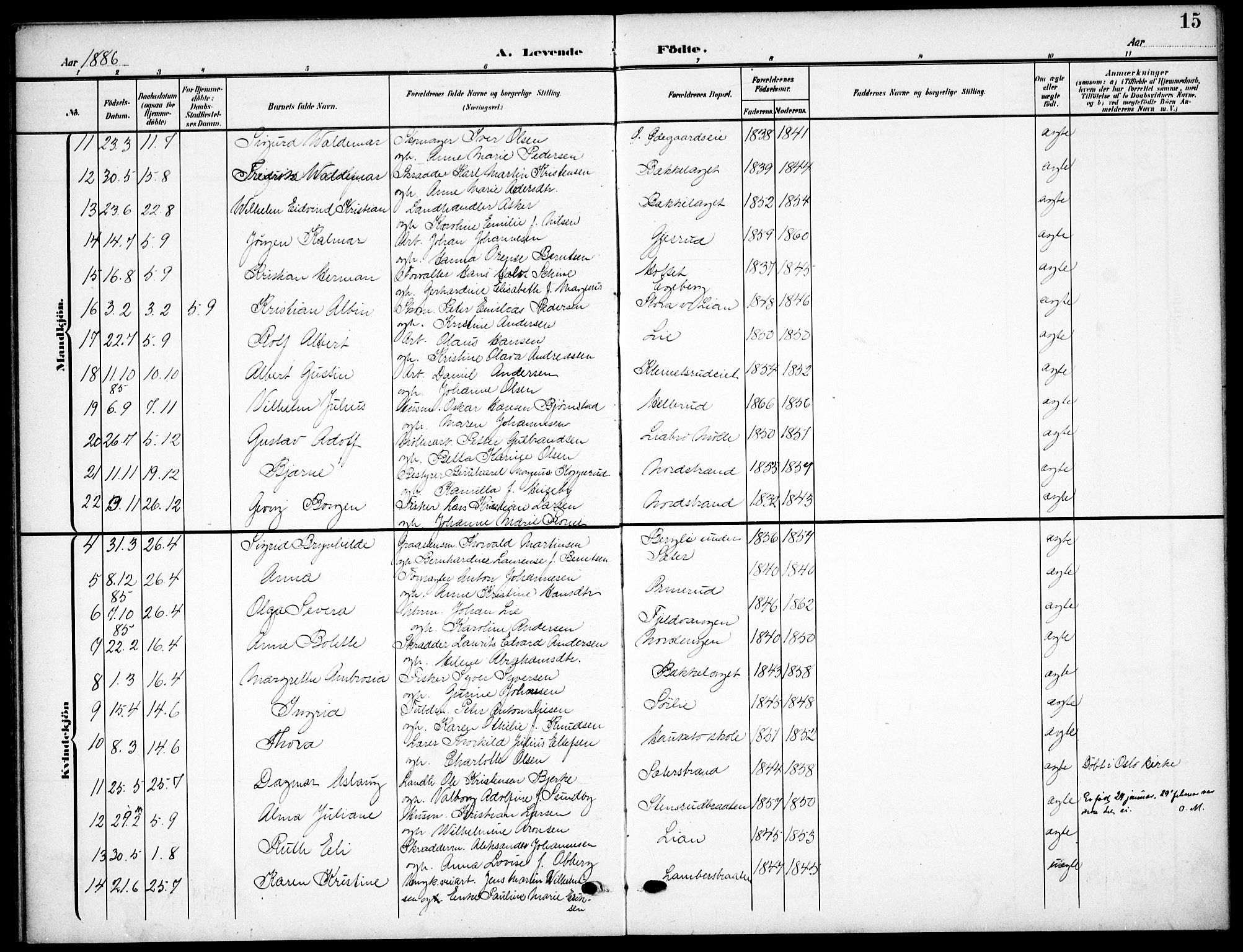 Nordstrand prestekontor Kirkebøker, AV/SAO-A-10362a/F/Fa/L0000: Parish register (official) no.  0, 1881-1900, p. 15