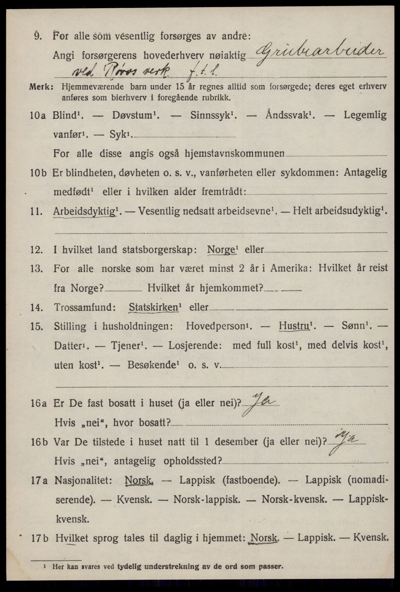 SAT, 1920 census for Røros, 1920, p. 11585