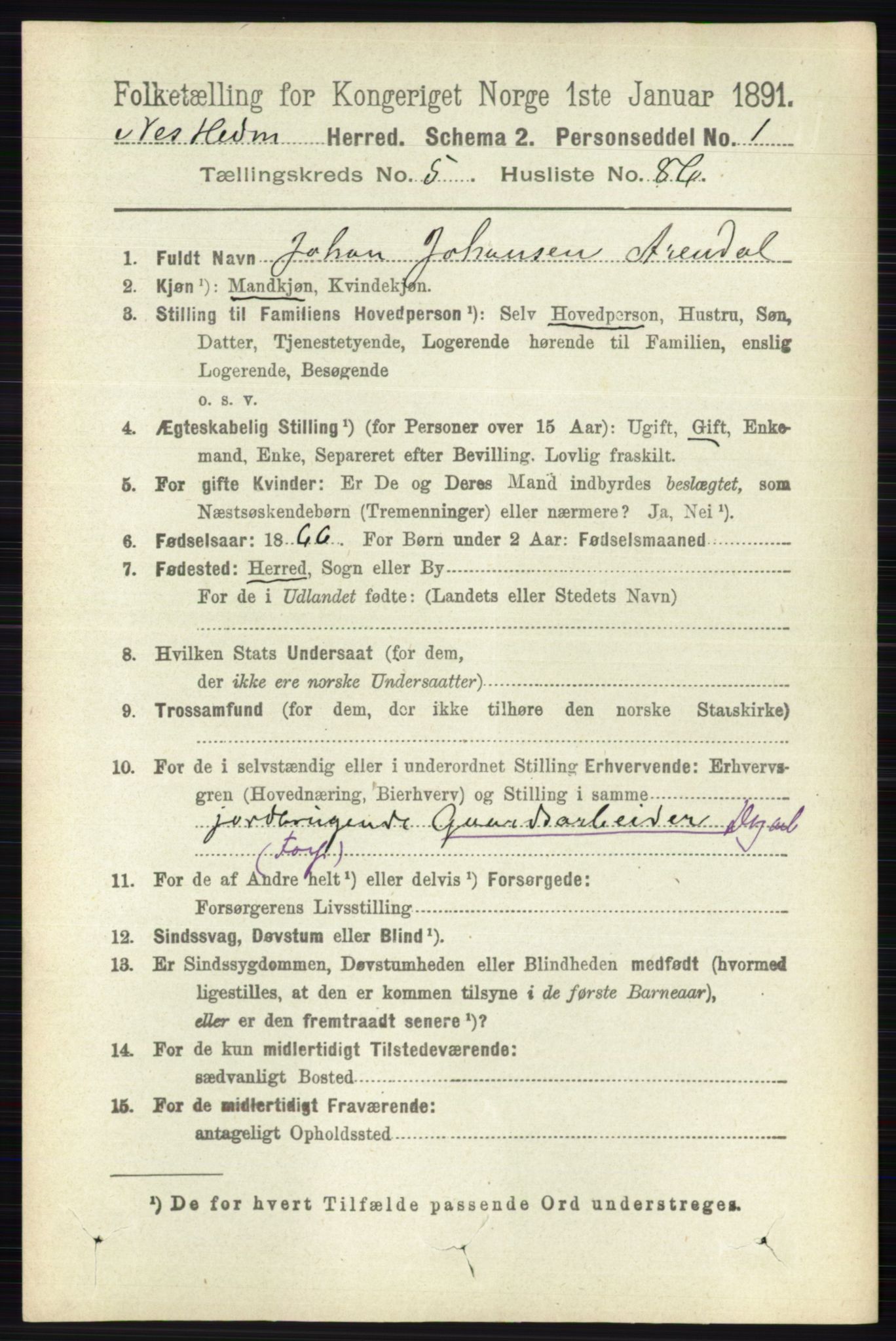 RA, 1891 census for 0411 Nes, 1891, p. 3162