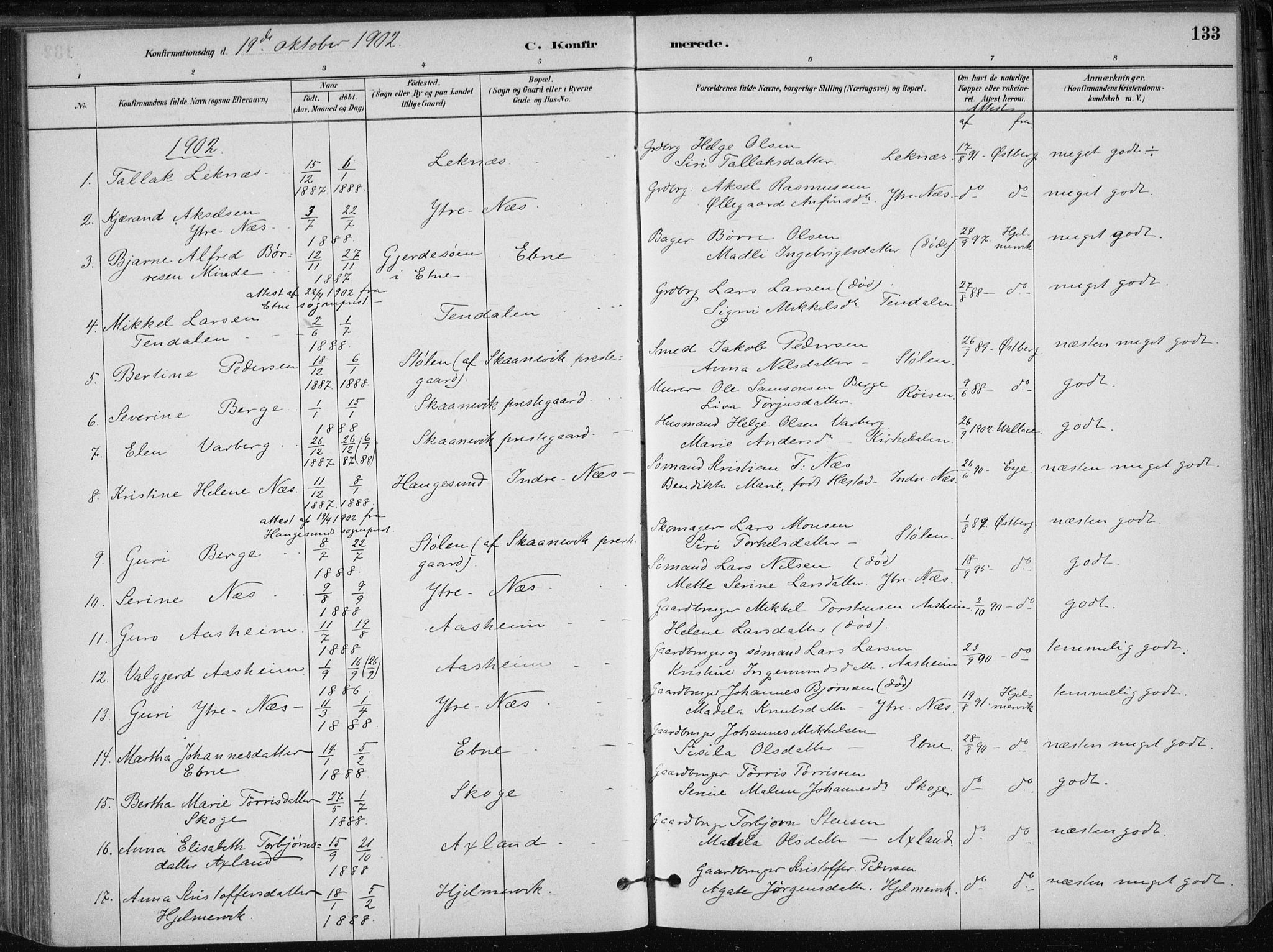 Skånevik sokneprestembete, SAB/A-77801/H/Haa: Parish register (official) no. B 1, 1879-1914, p. 133