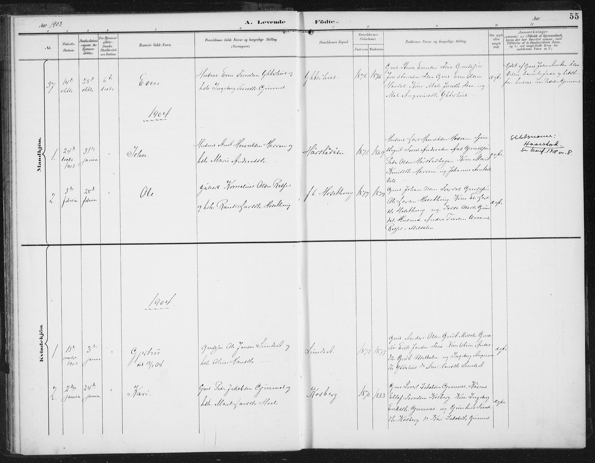Ministerialprotokoller, klokkerbøker og fødselsregistre - Sør-Trøndelag, SAT/A-1456/674/L0872: Parish register (official) no. 674A04, 1897-1907, p. 55