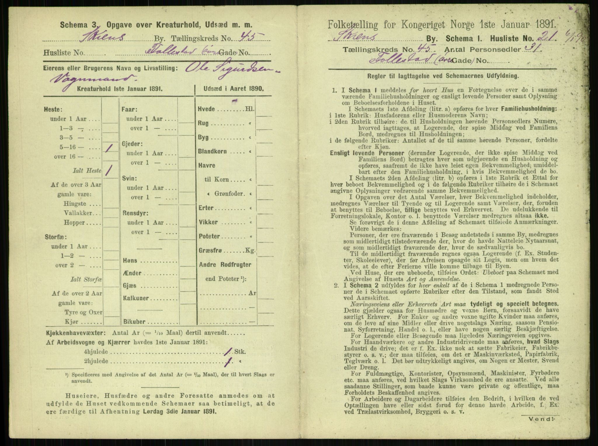 RA, 1891 census for 0806 Skien, 1891, p. 1606