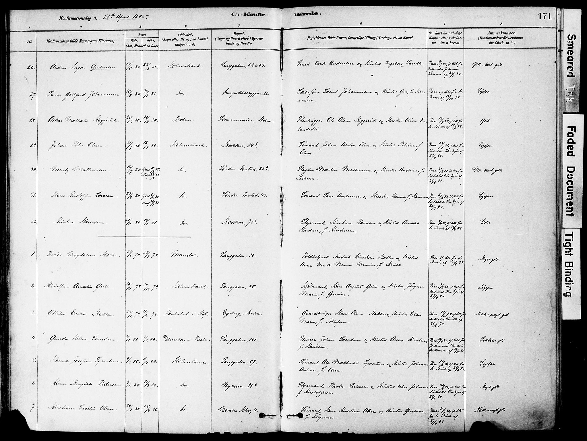 Holmestrand kirkebøker, AV/SAKO-A-346/F/Fa/L0004: Parish register (official) no. 4, 1880-1901, p. 171