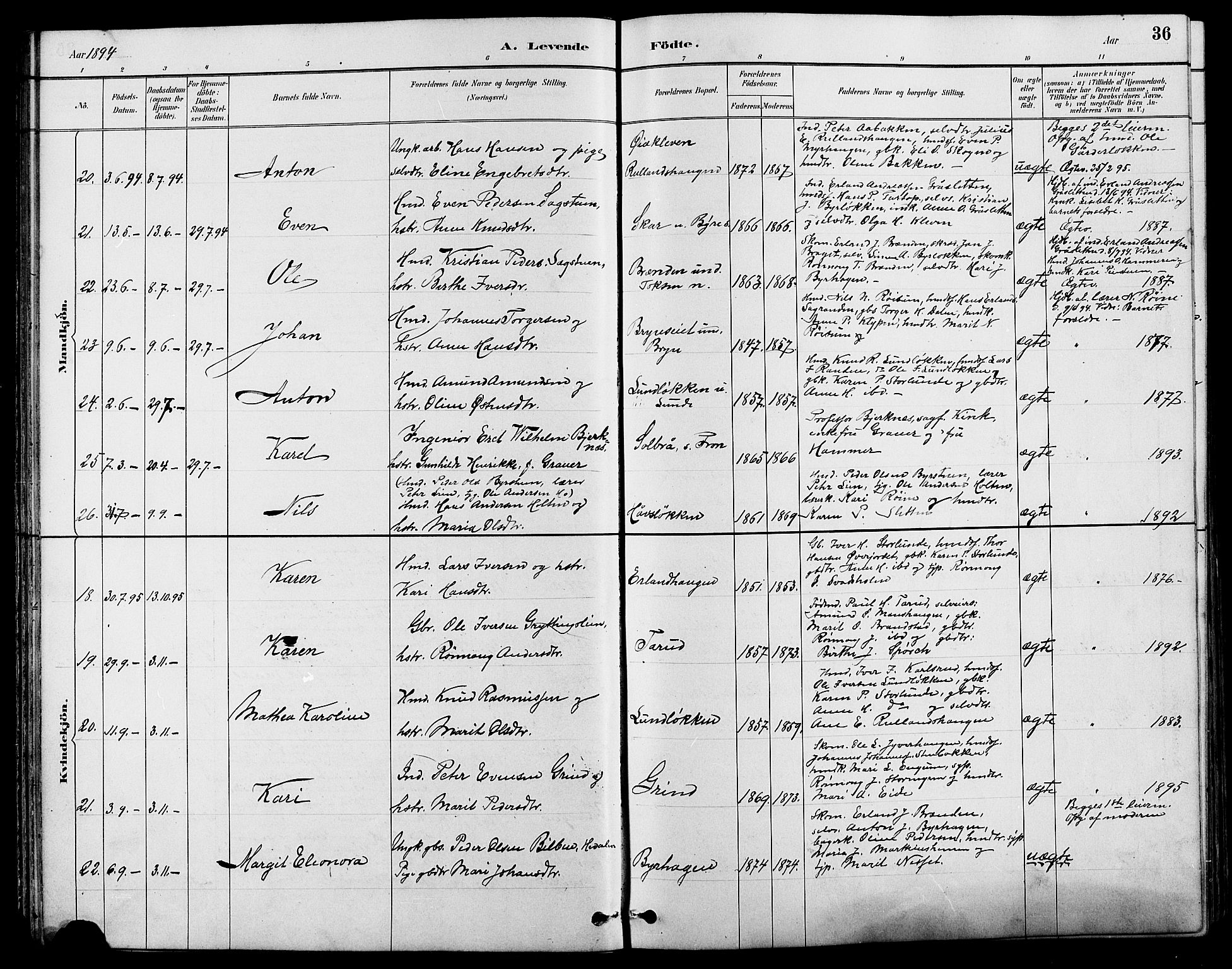 Nord-Fron prestekontor, AV/SAH-PREST-080/H/Ha/Hab/L0004: Parish register (copy) no. 4, 1884-1914, p. 36