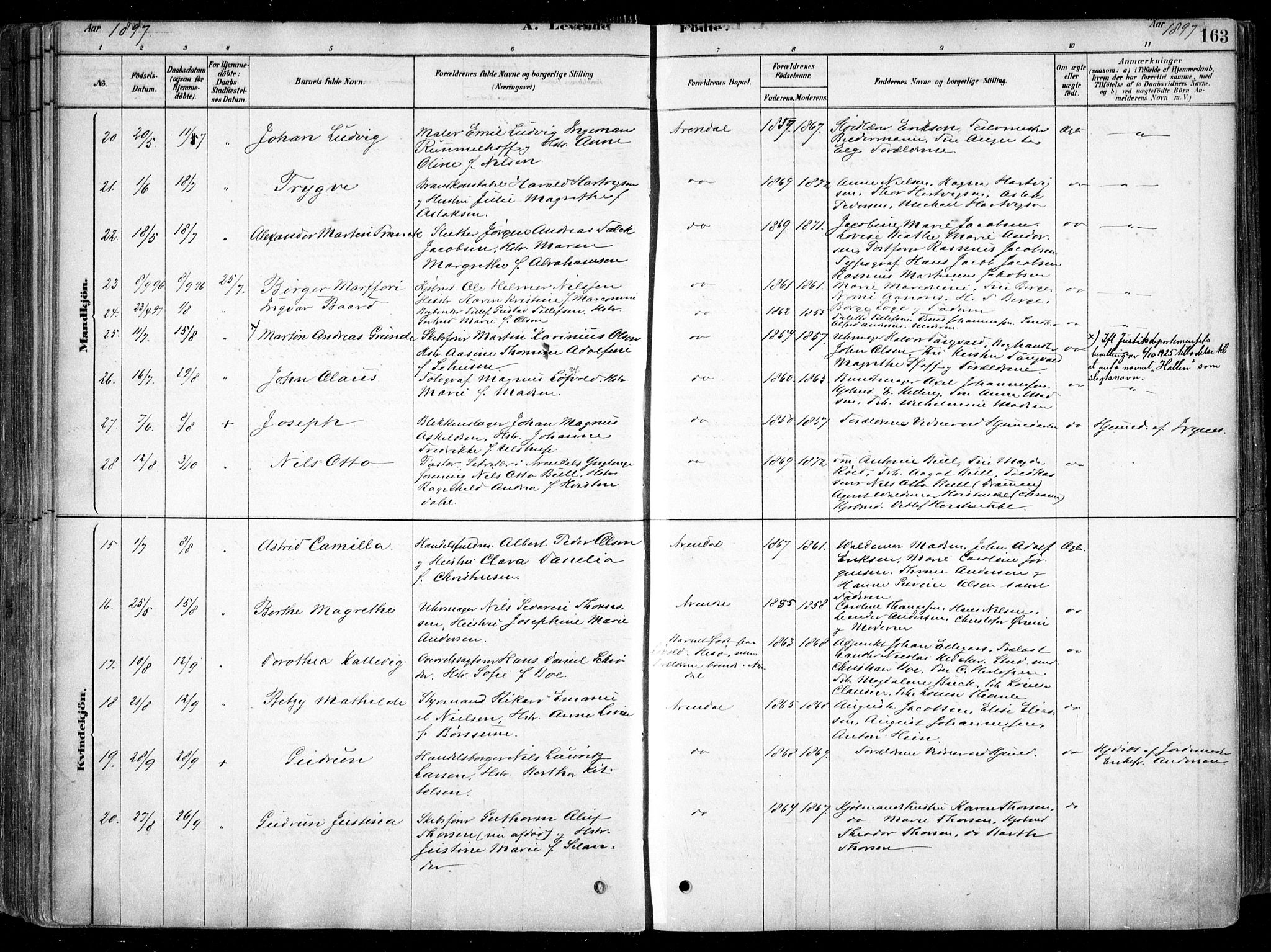 Arendal sokneprestkontor, Trefoldighet, AV/SAK-1111-0040/F/Fa/L0008: Parish register (official) no. A 8, 1878-1899, p. 163