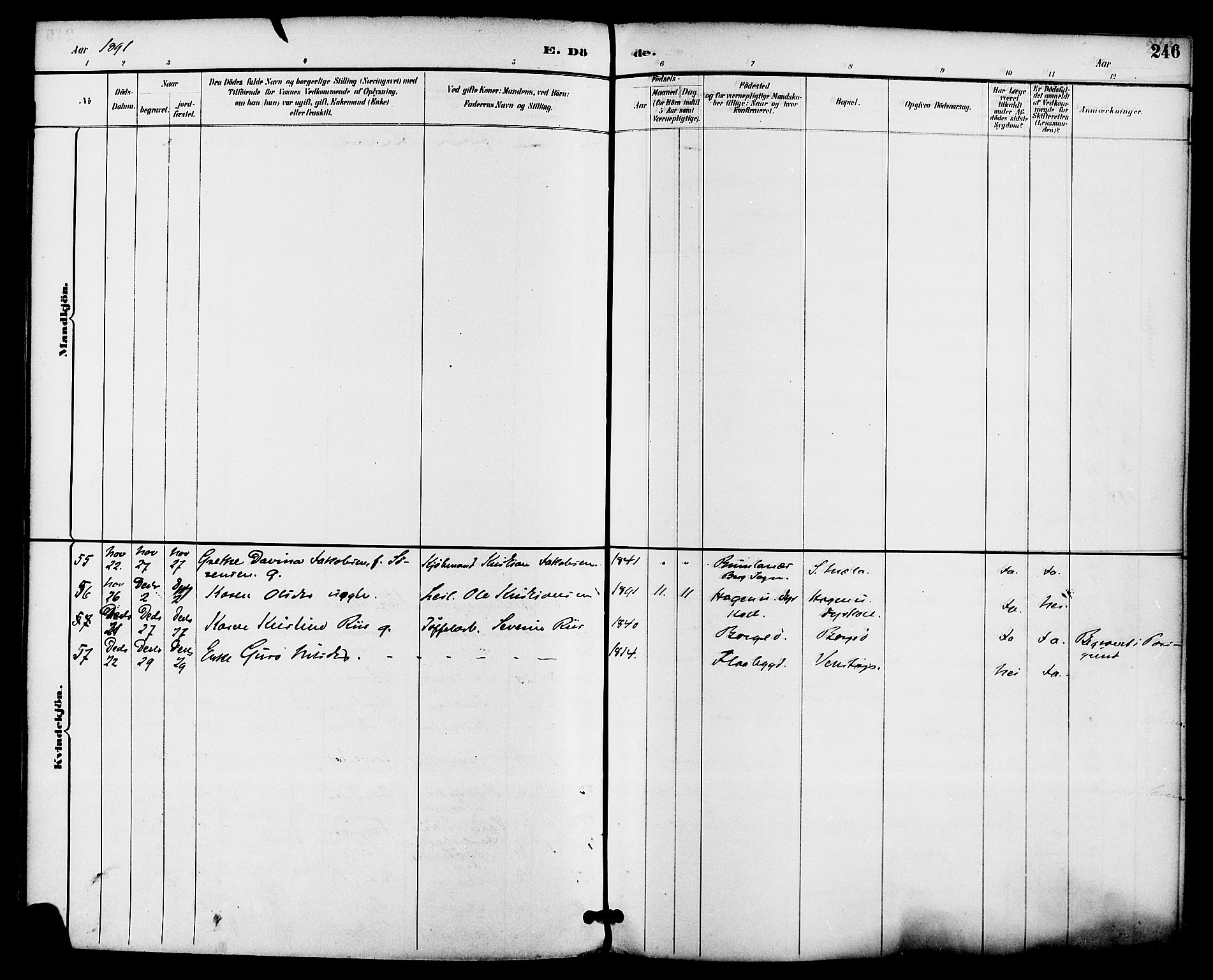 Gjerpen kirkebøker, SAKO/A-265/F/Fa/L0010: Parish register (official) no. I 10, 1886-1895, p. 246