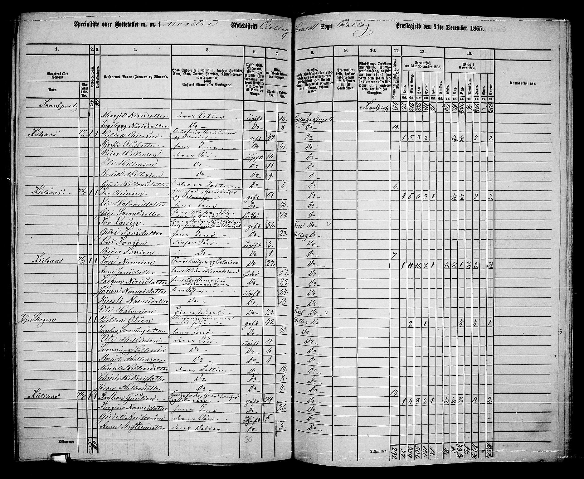 RA, 1865 census for Rollag, 1865, p. 48