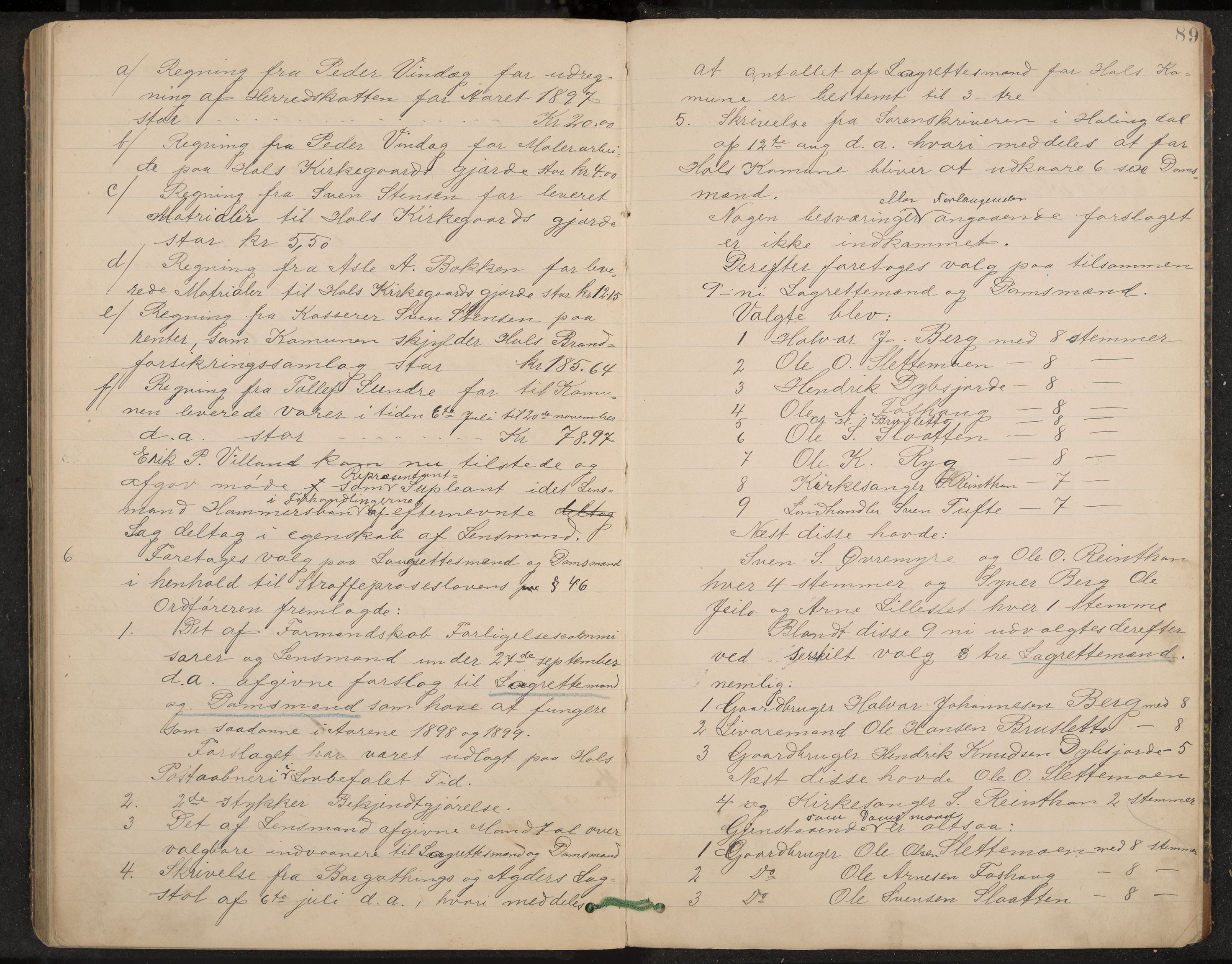 Hol formannskap og sentraladministrasjon, IKAK/0620021-1/A/L0002: Møtebok, 1893-1897, p. 89