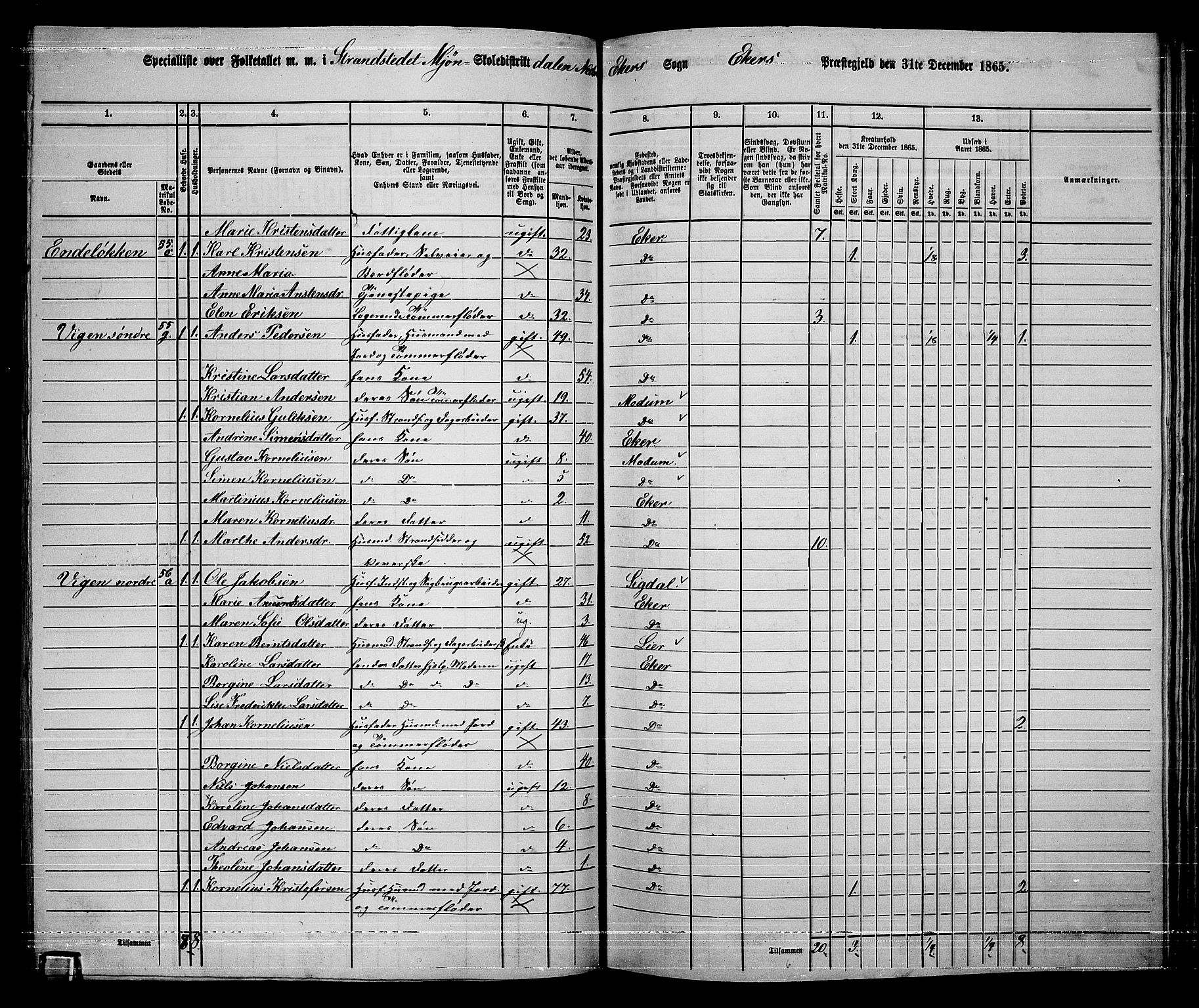 RA, 1865 census for Eiker, 1865, p. 405