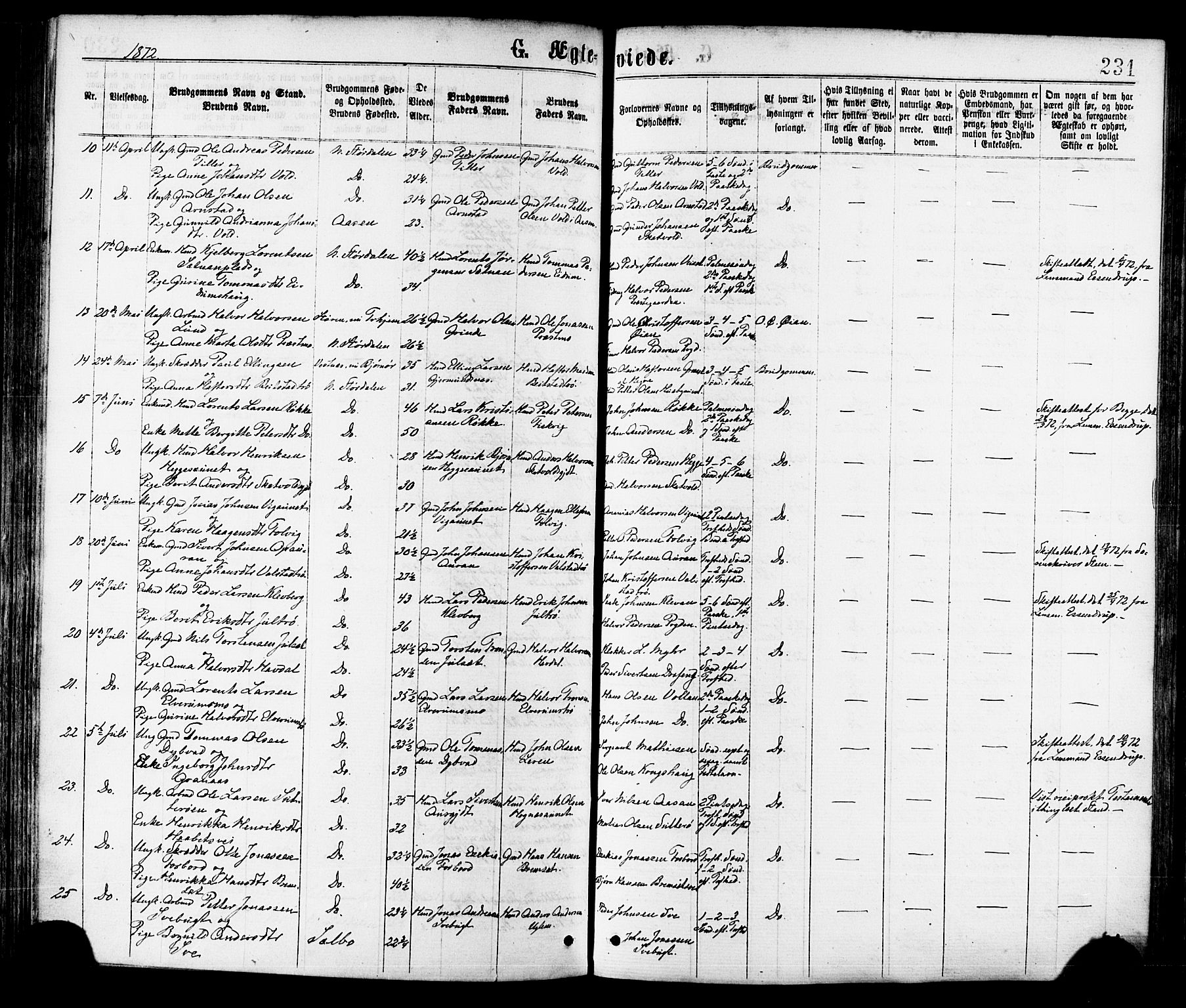 Ministerialprotokoller, klokkerbøker og fødselsregistre - Nord-Trøndelag, AV/SAT-A-1458/709/L0076: Parish register (official) no. 709A16, 1871-1879, p. 231