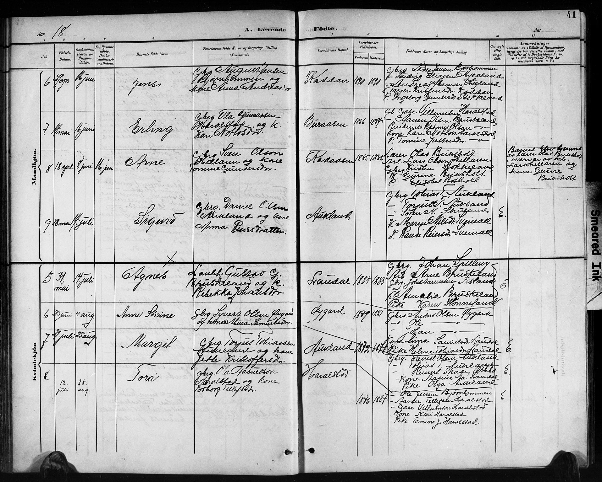 Holum sokneprestkontor, AV/SAK-1111-0022/F/Fb/Fbb/L0004: Parish register (copy) no. B 4, 1899-1920, p. 41