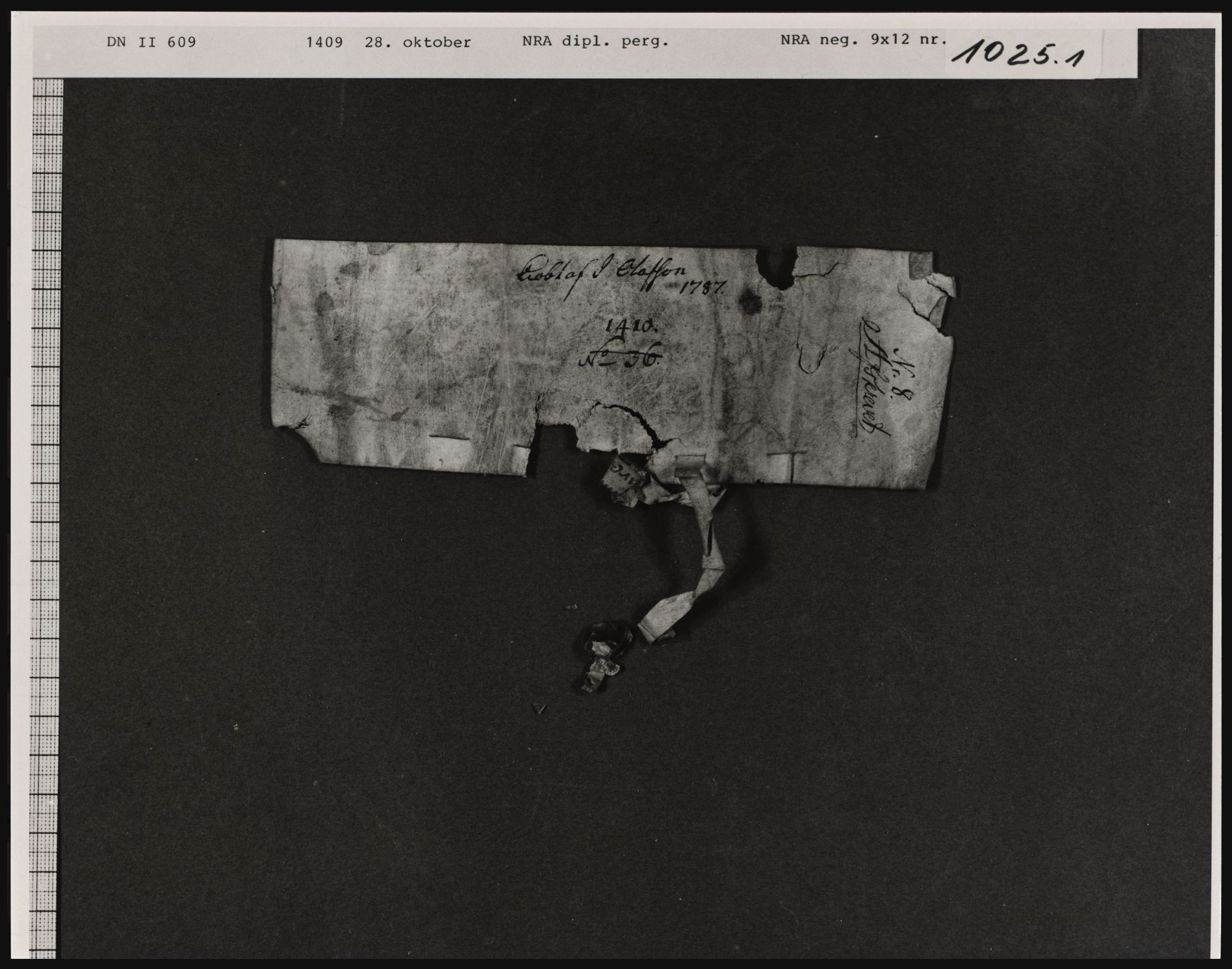 Riksarkivets diplomsamling, AV/RA-EA-5965/F01, 1337-1571, p. 2732