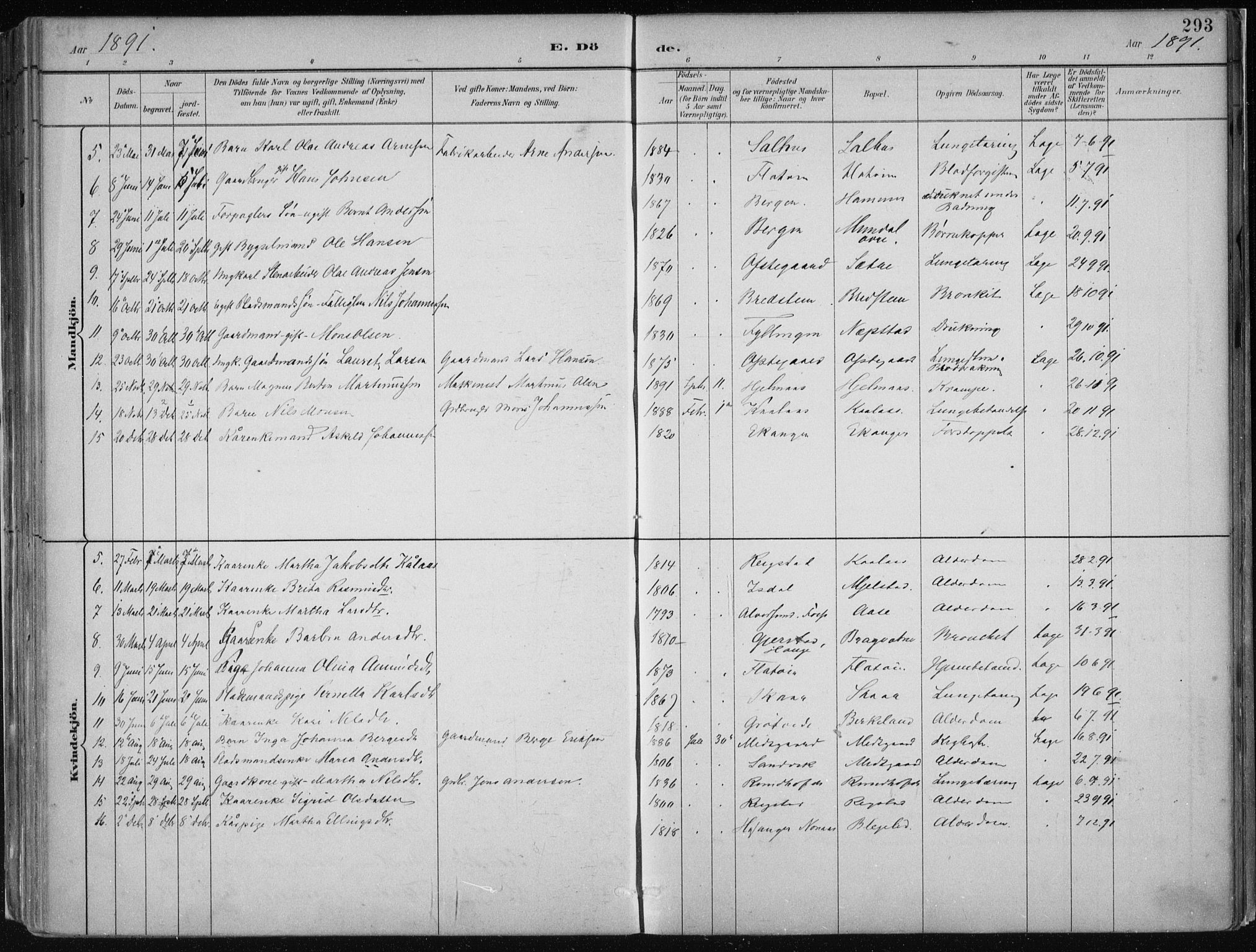 Hamre sokneprestembete, SAB/A-75501/H/Ha/Haa/Haab/L0001: Parish register (official) no. B  1, 1882-1905, p. 293