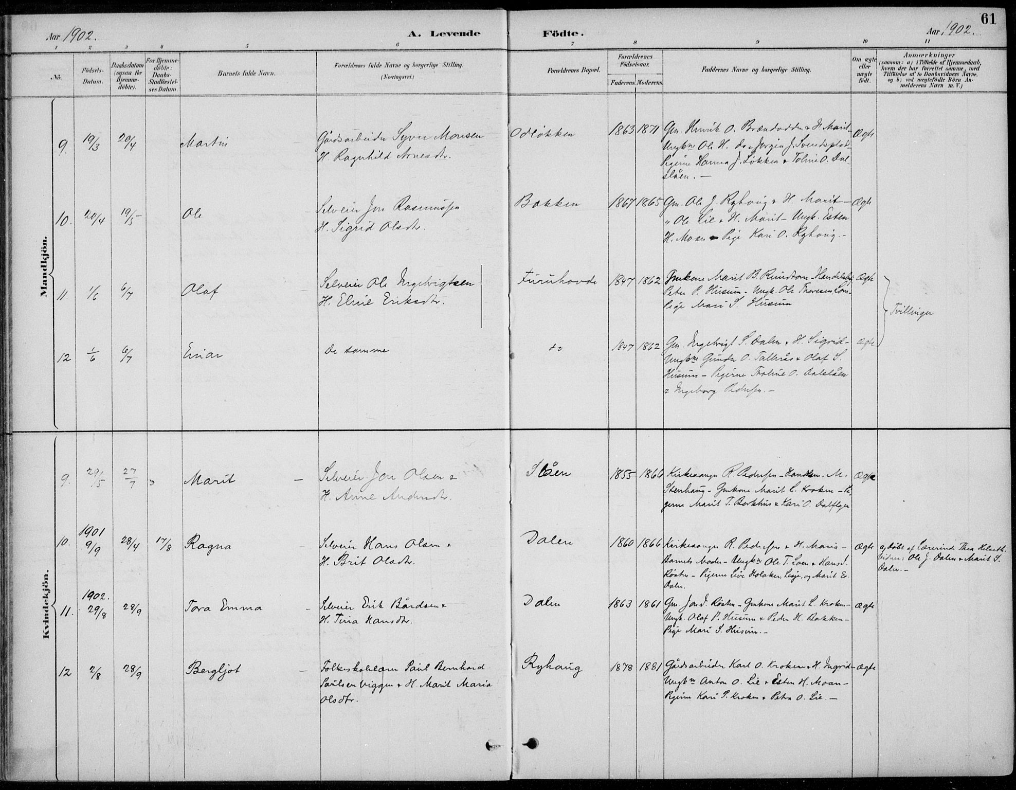 Alvdal prestekontor, AV/SAH-PREST-060/H/Ha/Haa/L0003: Parish register (official) no. 3, 1886-1912, p. 61