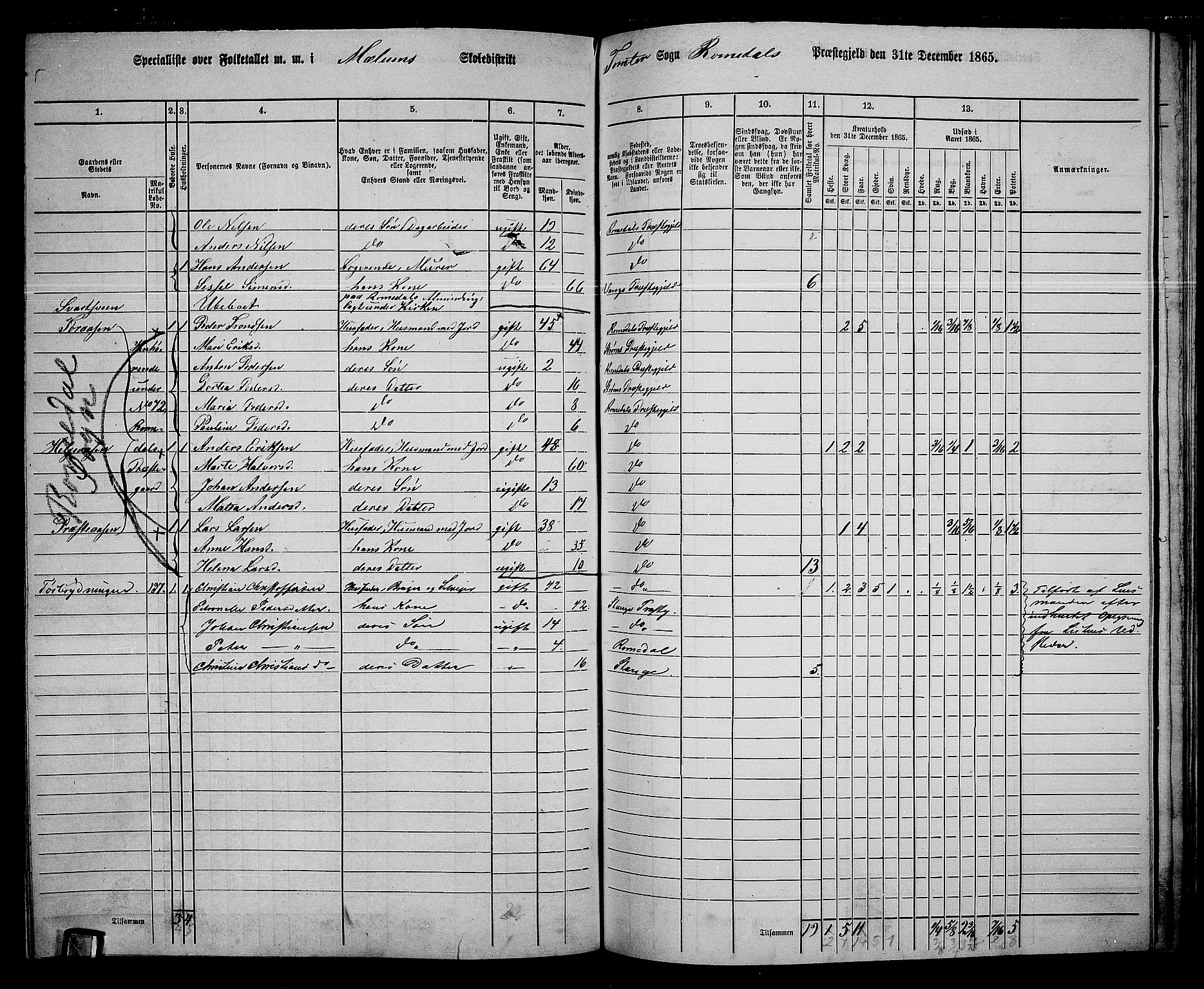 RA, 1865 census for Romedal, 1865, p. 162