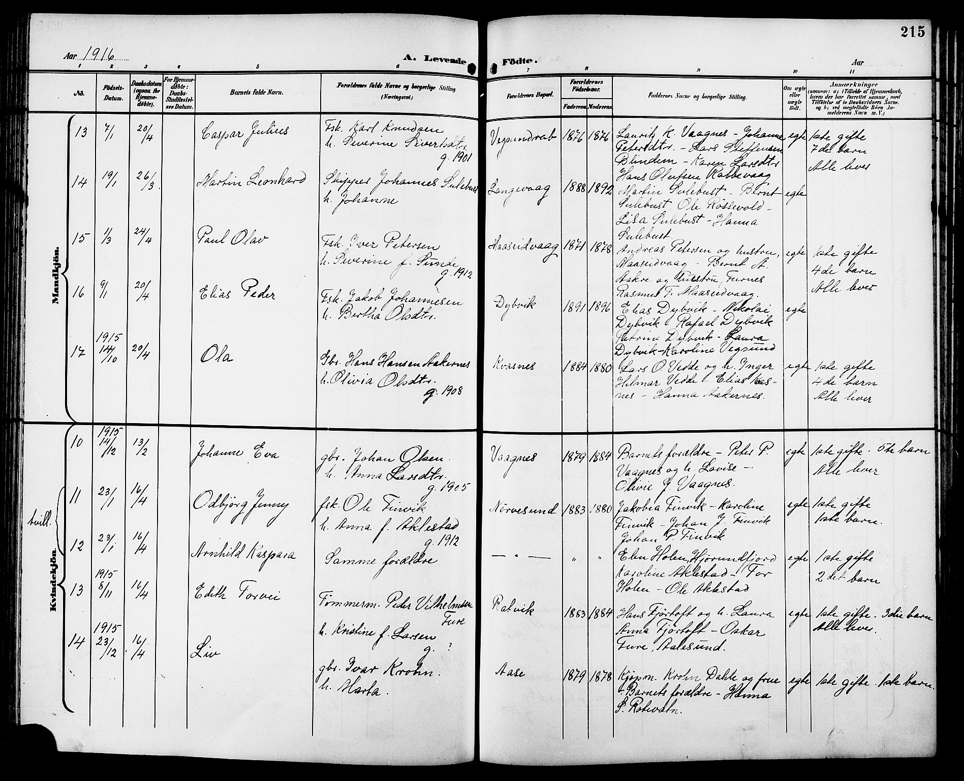 Ministerialprotokoller, klokkerbøker og fødselsregistre - Møre og Romsdal, AV/SAT-A-1454/528/L0432: Parish register (copy) no. 528C13, 1898-1918, p. 215