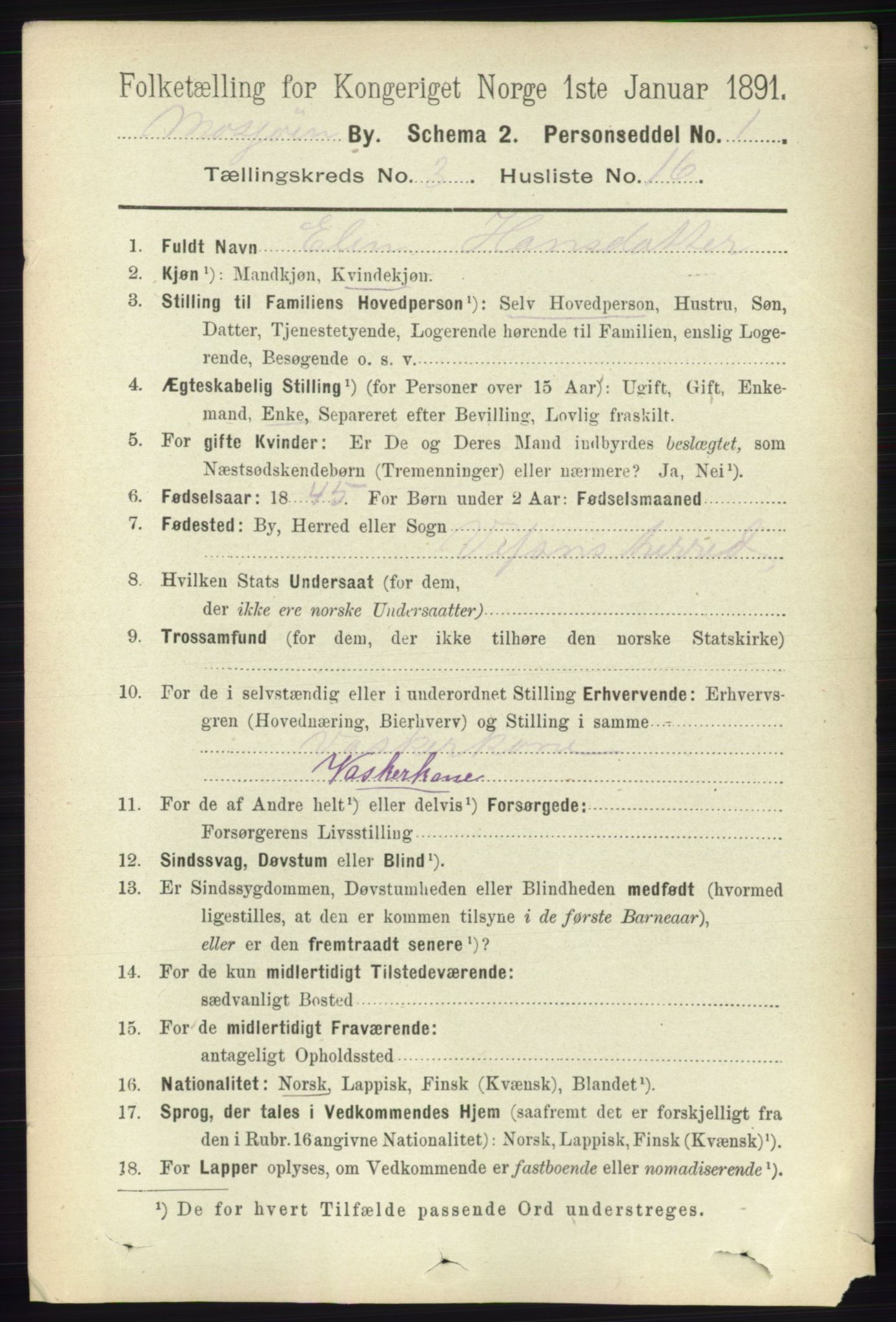 RA, 1891 census for 1802 Mosjøen, 1891, p. 1380