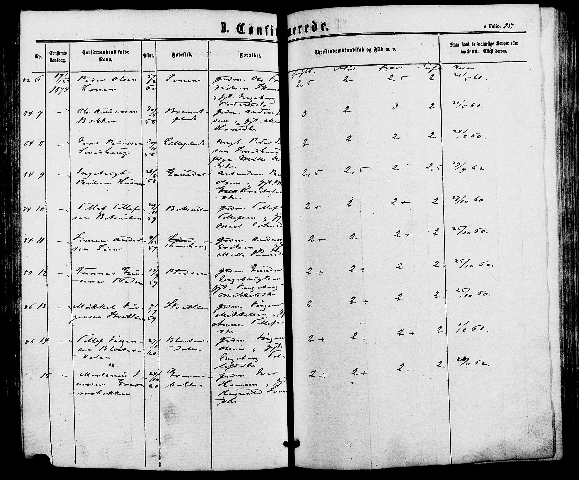 Alvdal prestekontor, AV/SAH-PREST-060/H/Ha/Haa/L0001: Parish register (official) no. 1, 1863-1882, p. 251