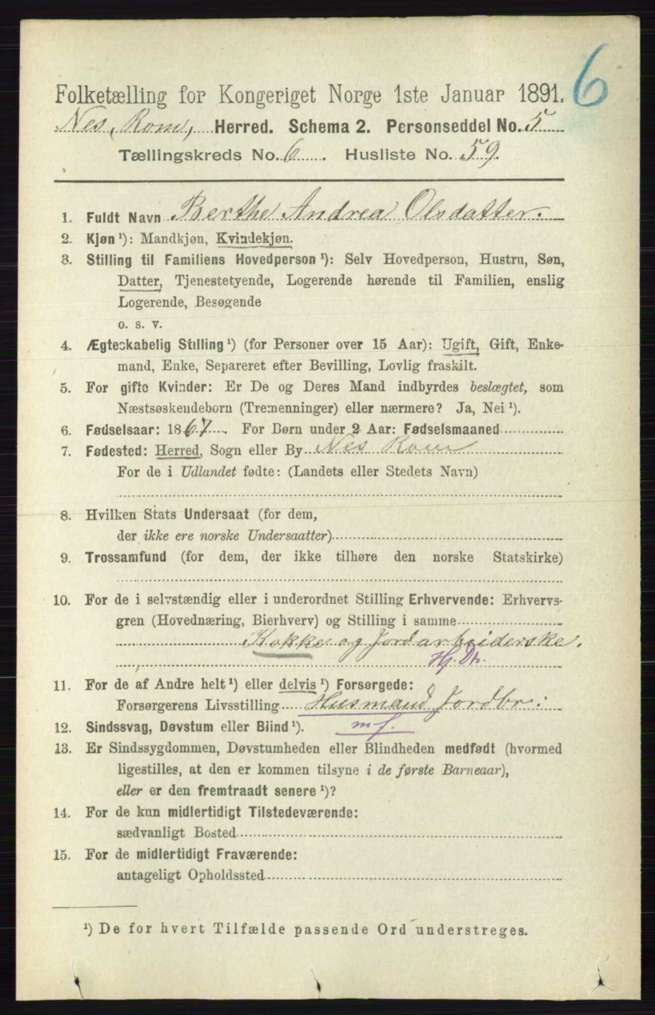 RA, 1891 census for 0236 Nes, 1891, p. 3752