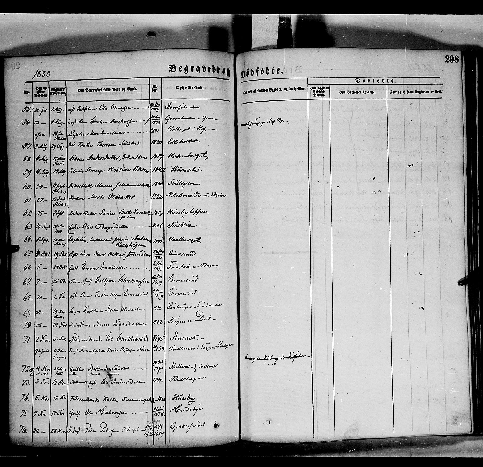 Grue prestekontor, SAH/PREST-036/H/Ha/Haa/L0011: Parish register (official) no. 11, 1873-1880, p. 298