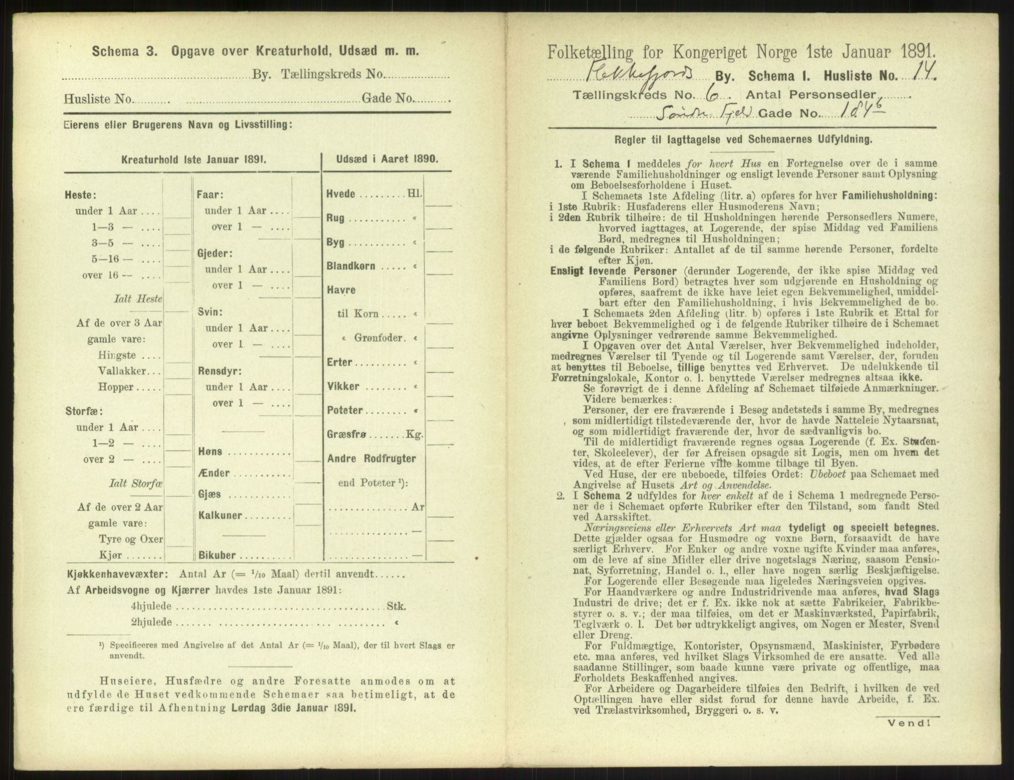 RA, 1891 census for 1004 Flekkefjord, 1891, p. 250