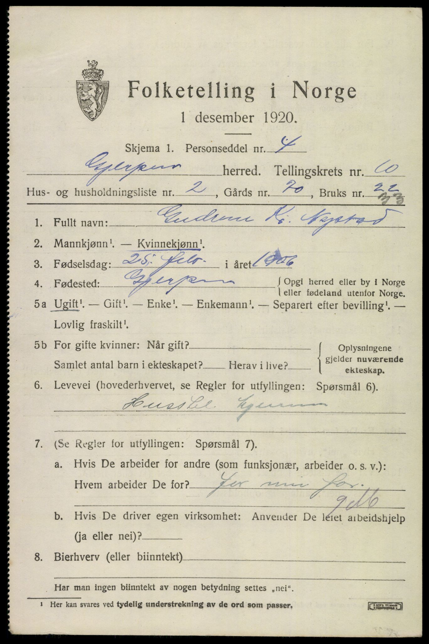 SAKO, 1920 census for Gjerpen, 1920, p. 11494