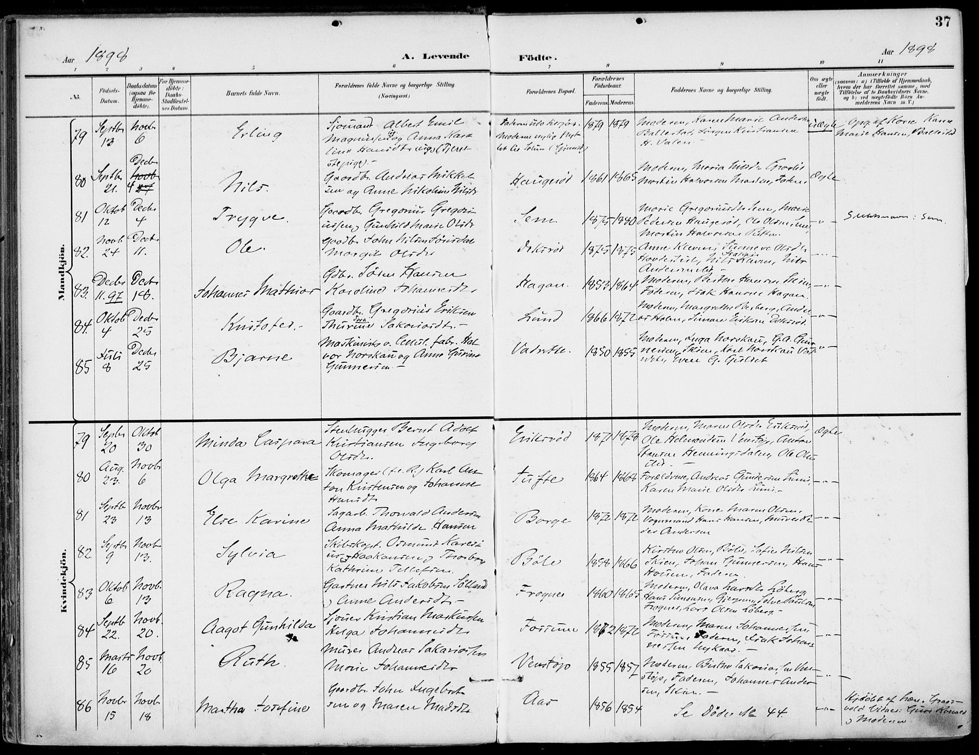 Gjerpen kirkebøker, AV/SAKO-A-265/F/Fa/L0011: Parish register (official) no. I 11, 1896-1904, p. 37