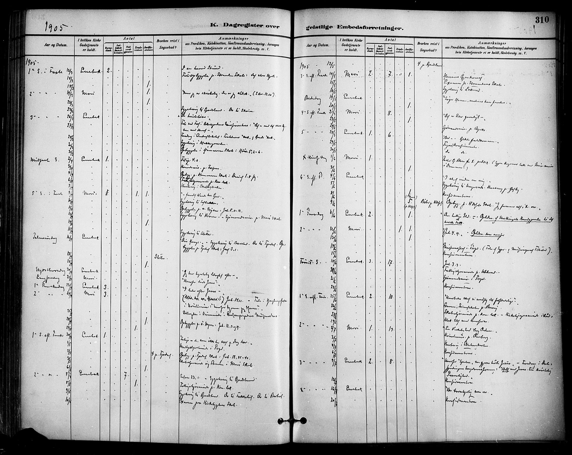Enebakk prestekontor Kirkebøker, SAO/A-10171c/F/Fa/L0016: Parish register (official) no. I 16, 1883-1898, p. 310