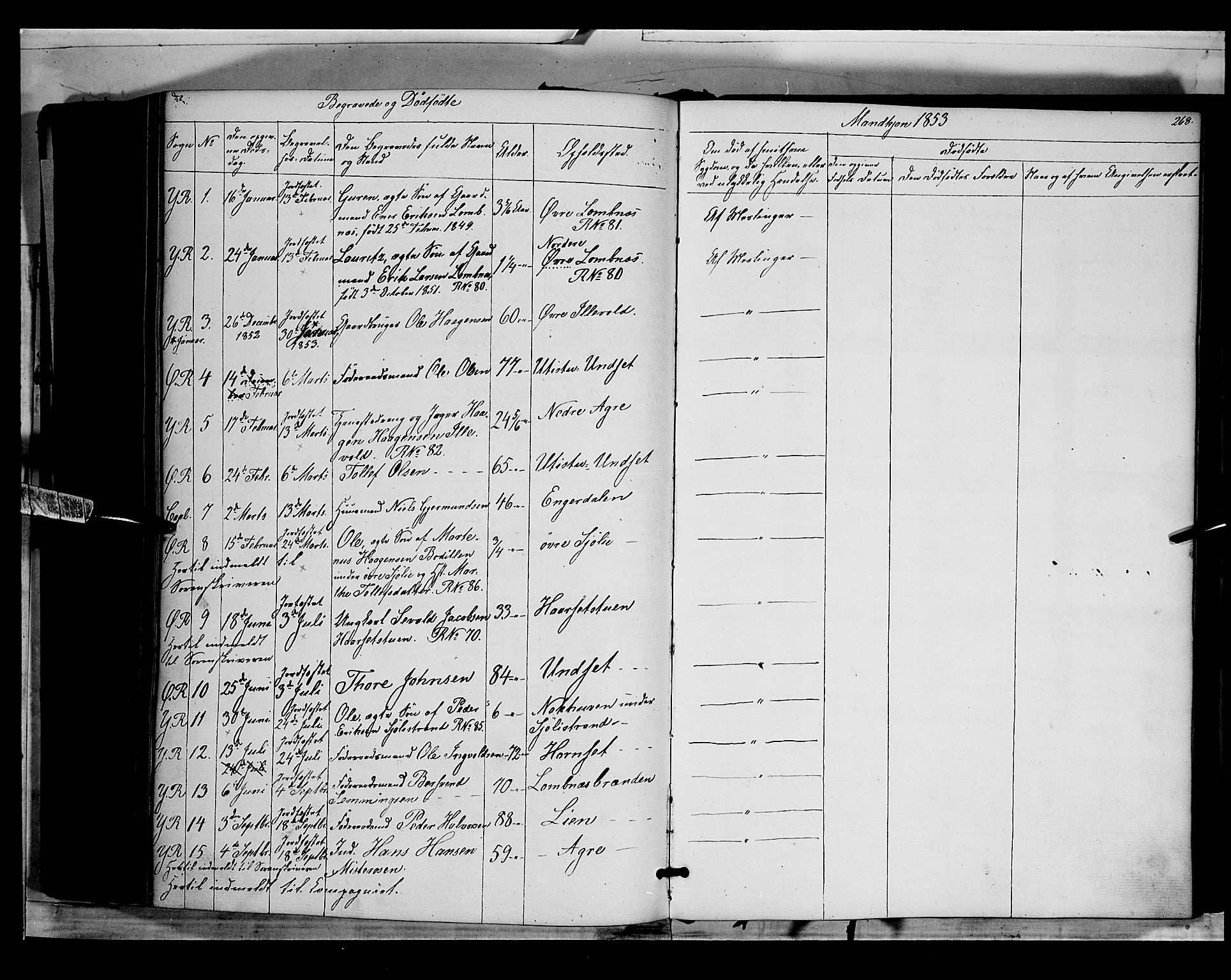 Rendalen prestekontor, SAH/PREST-054/H/Ha/Haa/L0005: Parish register (official) no. 5, 1853-1866, p. 268