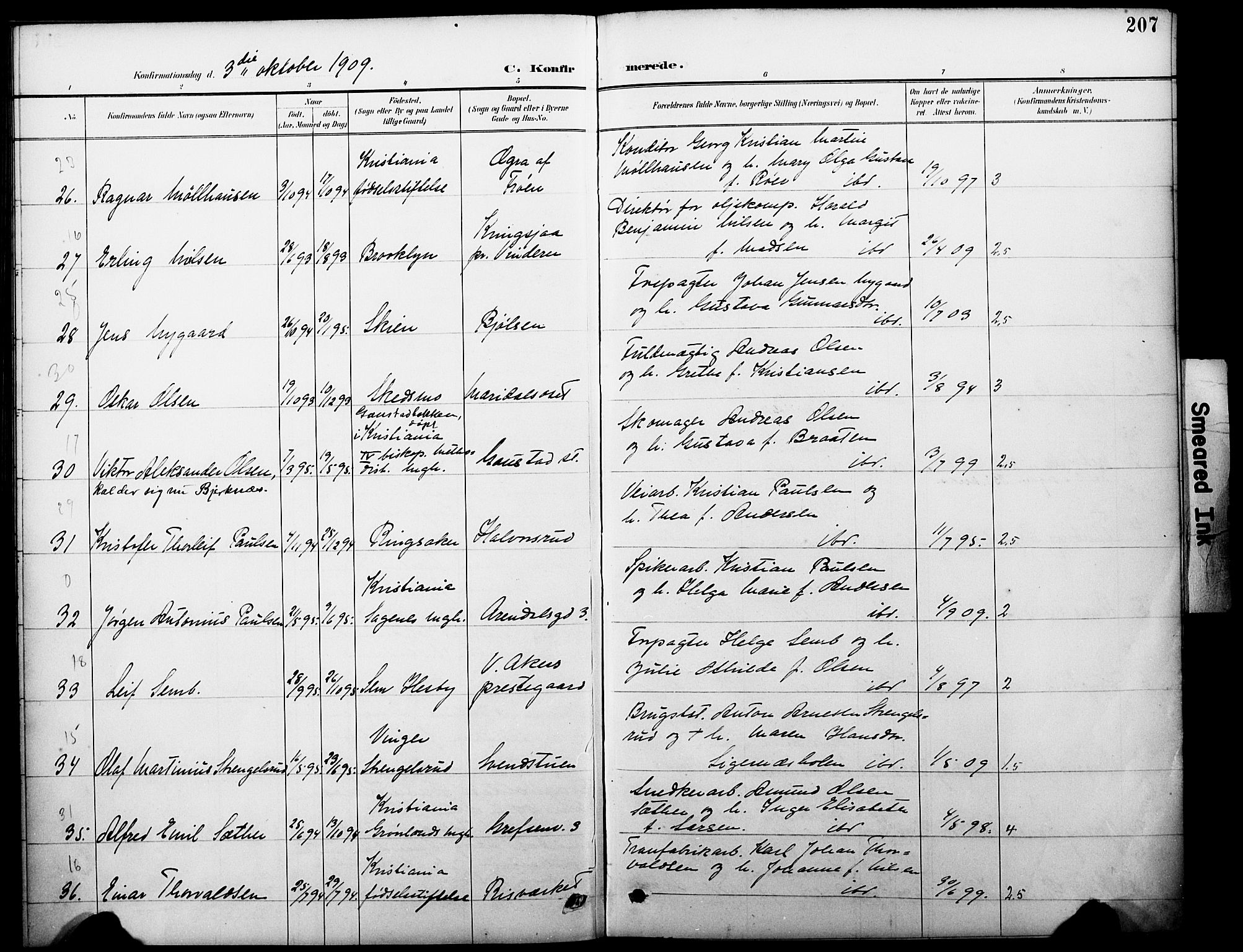 Vestre Aker prestekontor Kirkebøker, SAO/A-10025/F/Fa/L0012: Parish register (official) no. 12, 1894-1909, p. 207
