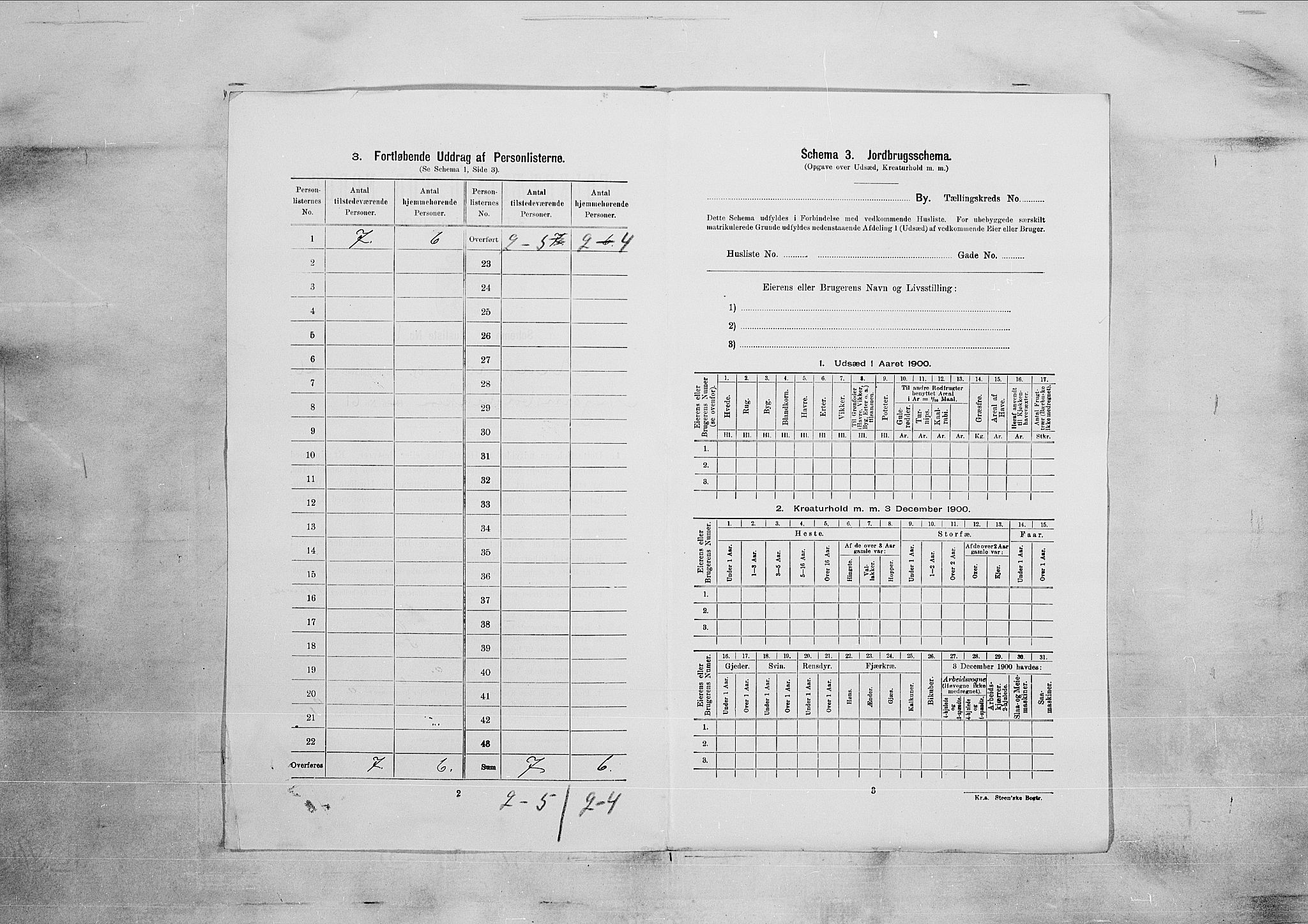 SAKO, 1900 census for Kragerø, 1900, p. 3232