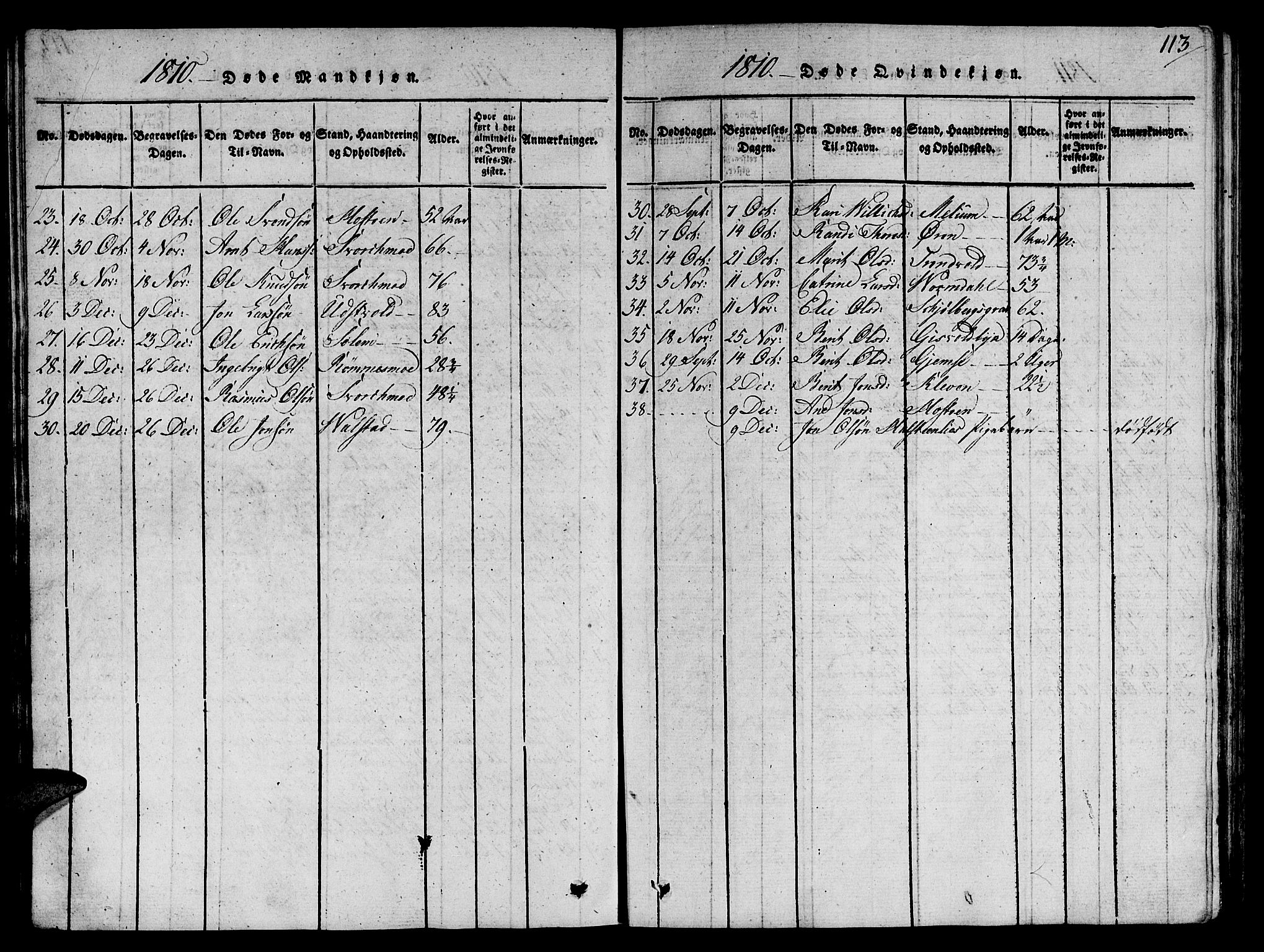 Ministerialprotokoller, klokkerbøker og fødselsregistre - Sør-Trøndelag, SAT/A-1456/668/L0803: Parish register (official) no. 668A03, 1800-1826, p. 113