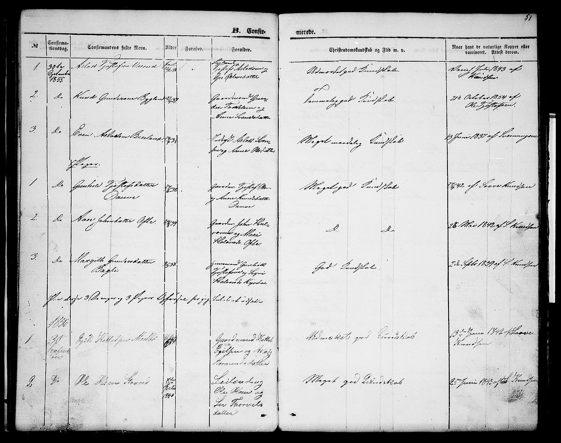 Lårdal kirkebøker, SAKO/A-284/G/Gc/L0002: Parish register (copy) no. III 2, 1852-1877, p. 51