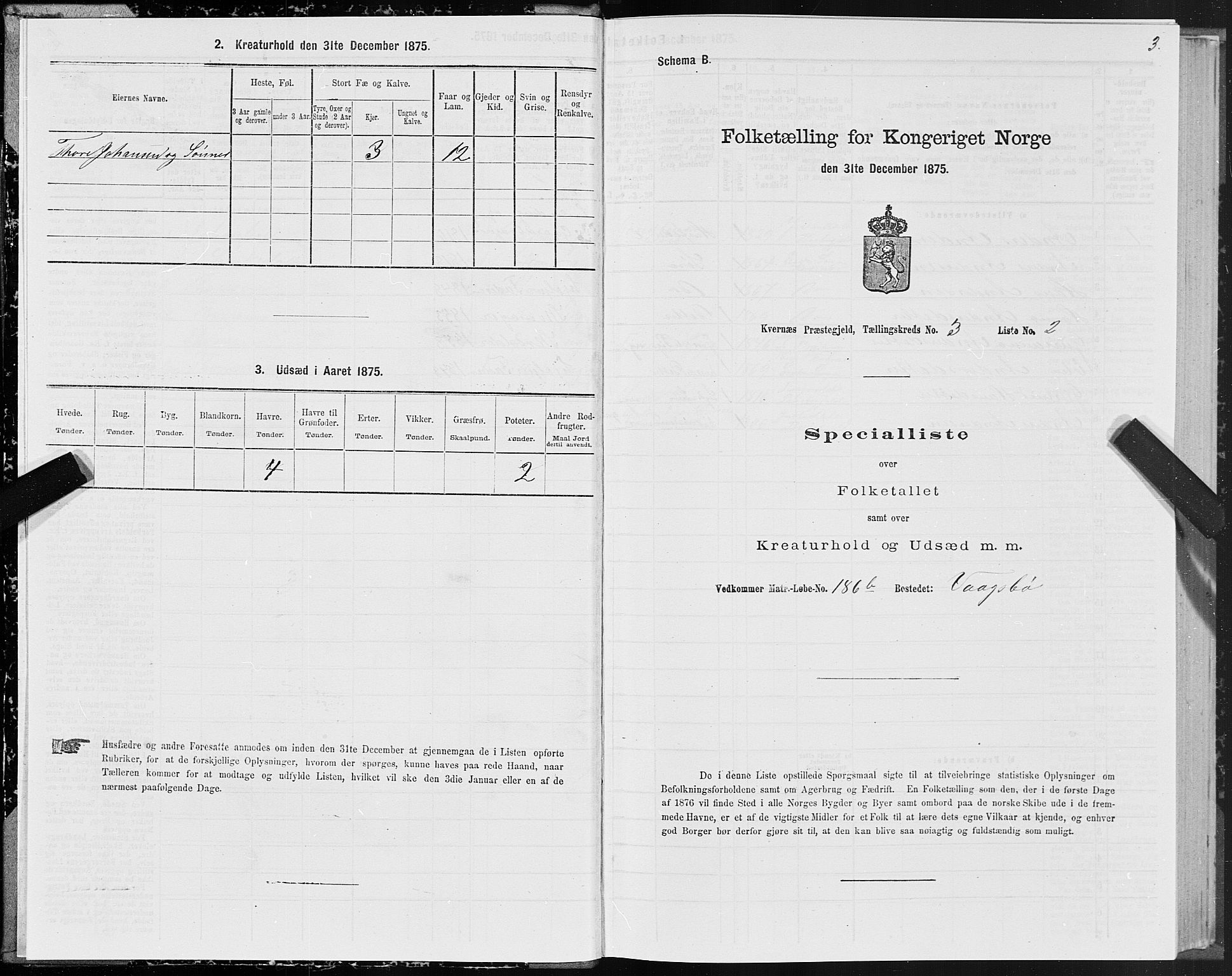 SAT, 1875 census for 1553P Kvernes, 1875, p. 2003