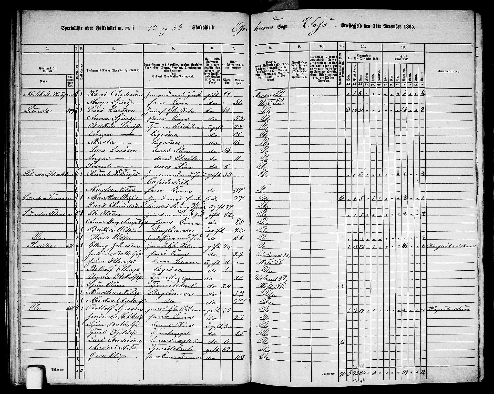 RA, 1865 census for Voss, 1865, p. 256