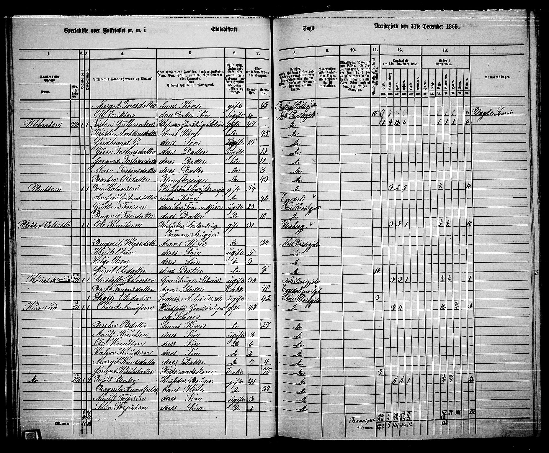 RA, 1865 census for Nore, 1865, p. 33