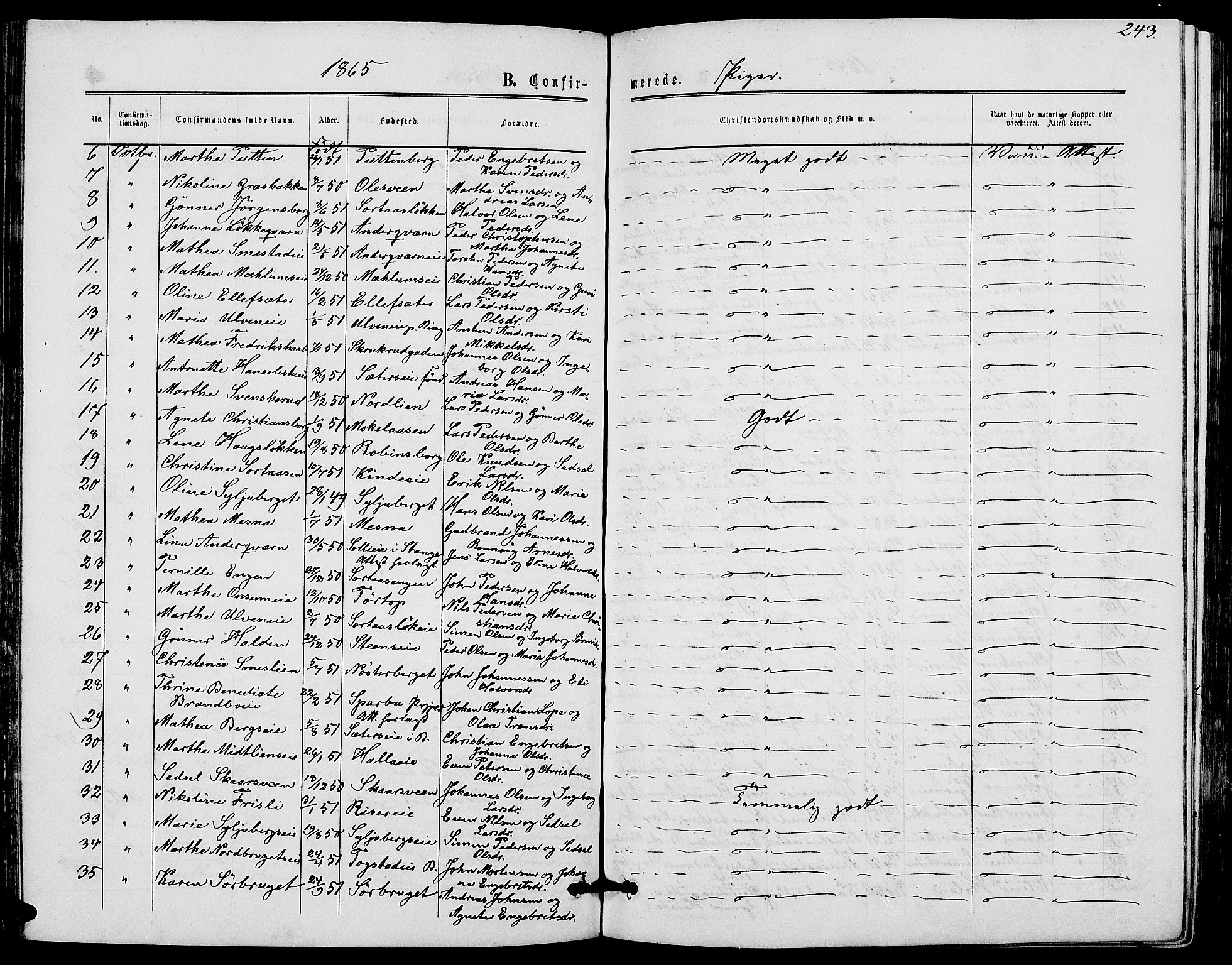Ringsaker prestekontor, AV/SAH-PREST-014/L/La/L0007: Parish register (copy) no. 7, 1861-1869, p. 243
