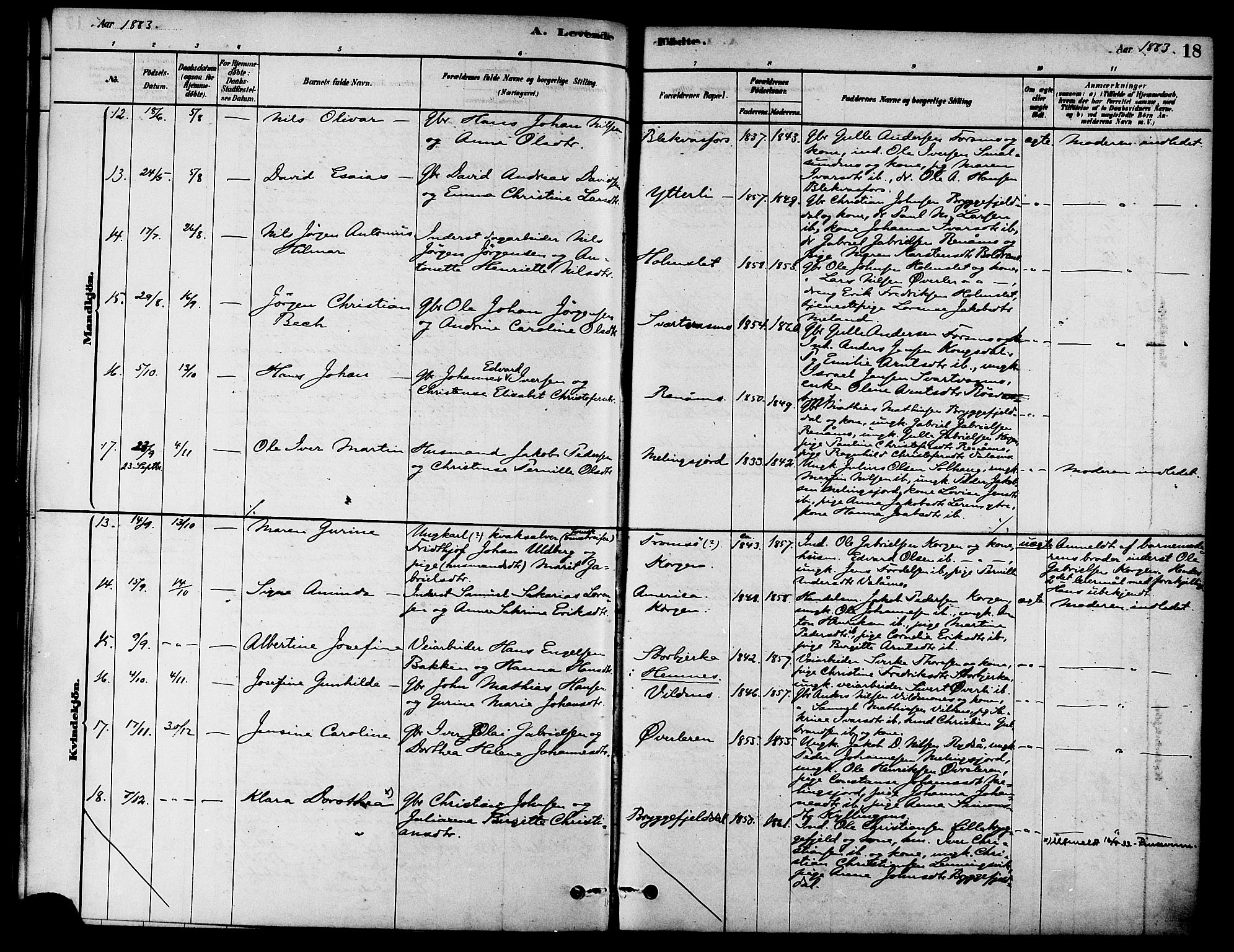 Ministerialprotokoller, klokkerbøker og fødselsregistre - Nordland, AV/SAT-A-1459/826/L0379: Parish register (official) no. 826A02, 1878-1895, p. 18