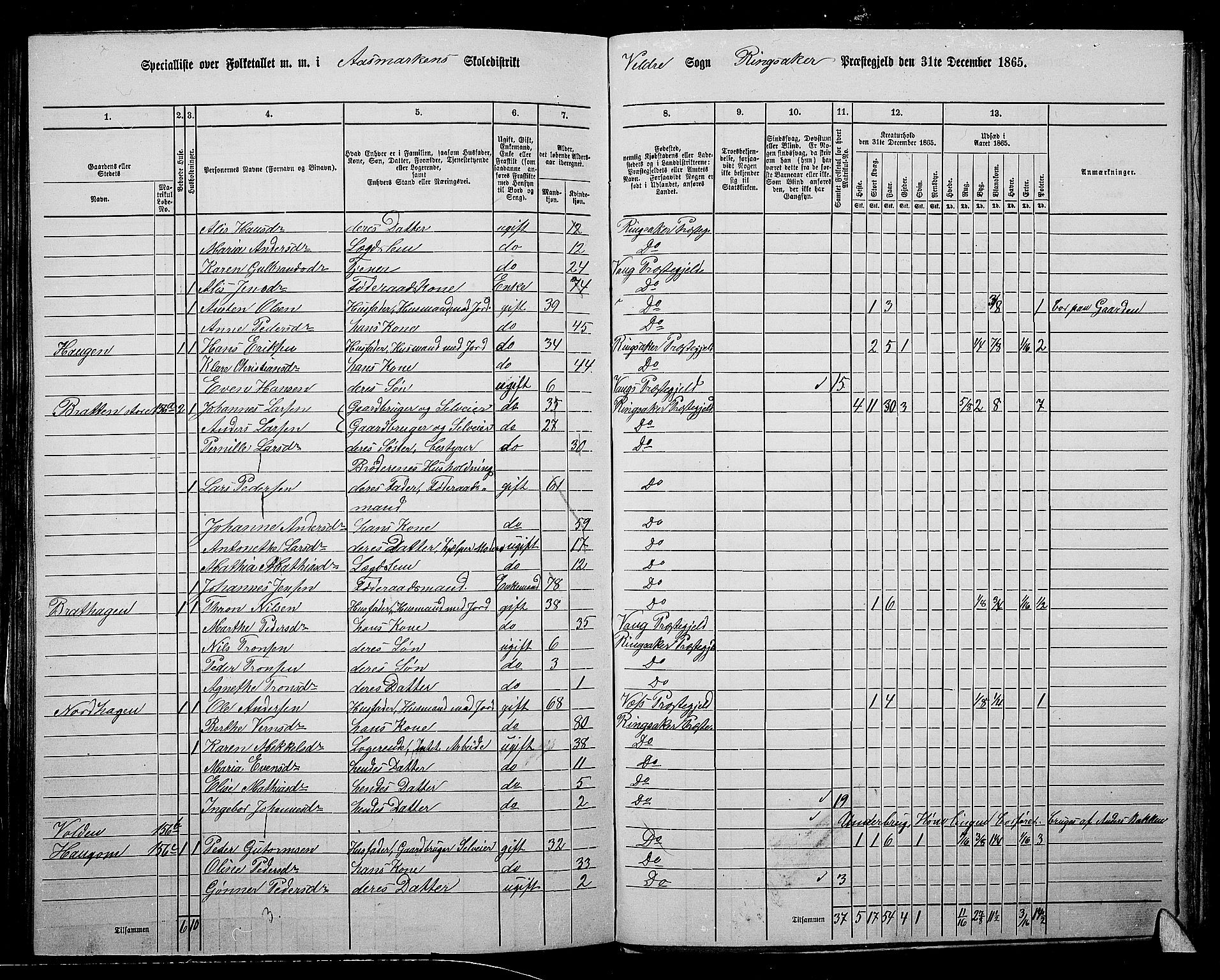 RA, 1865 census for Ringsaker, 1865, p. 215