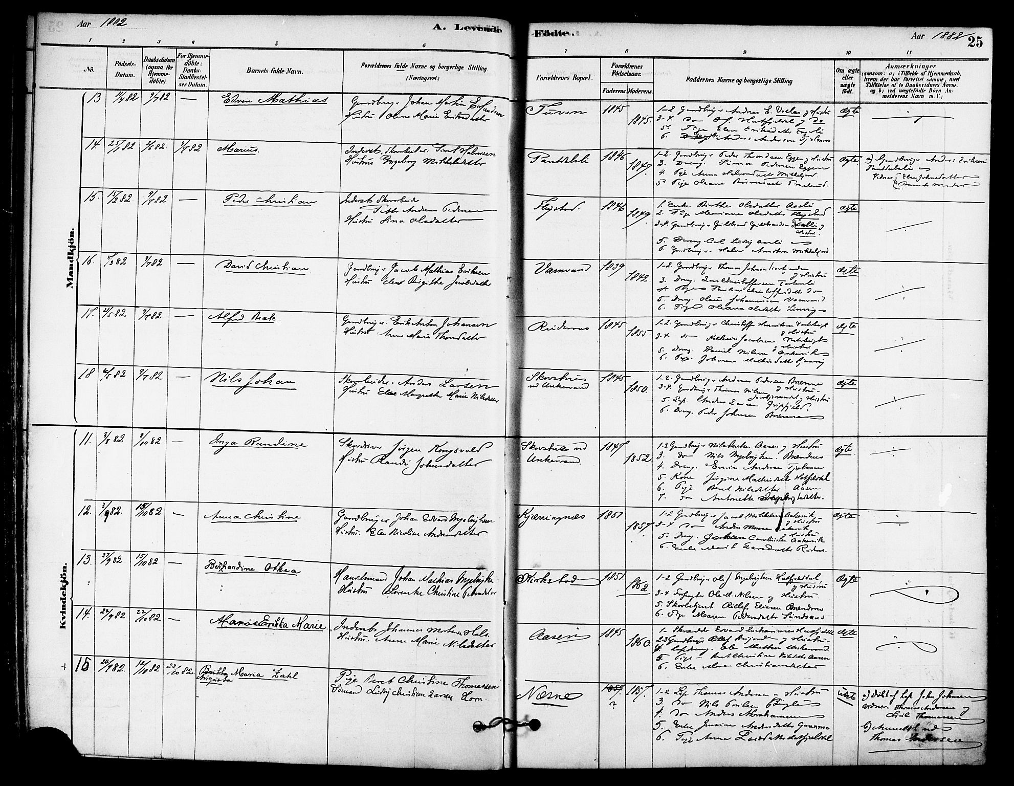 Ministerialprotokoller, klokkerbøker og fødselsregistre - Nordland, AV/SAT-A-1459/823/L0325: Parish register (official) no. 823A02, 1878-1898, p. 25