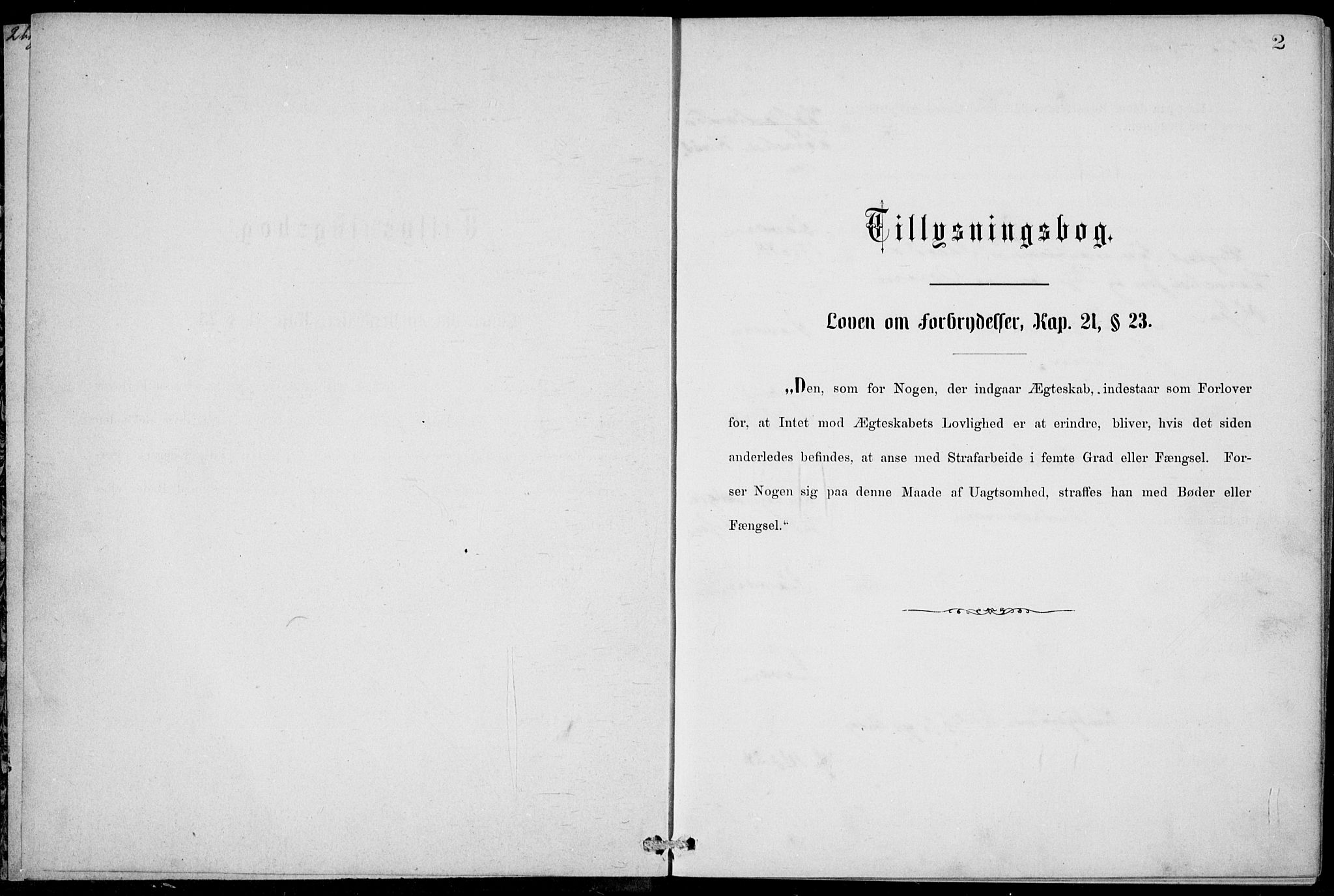 Stavern kirkebøker, AV/SAKO-A-318/H/Ha/L0001: Banns register no. 1, 1875-1918, p. 2