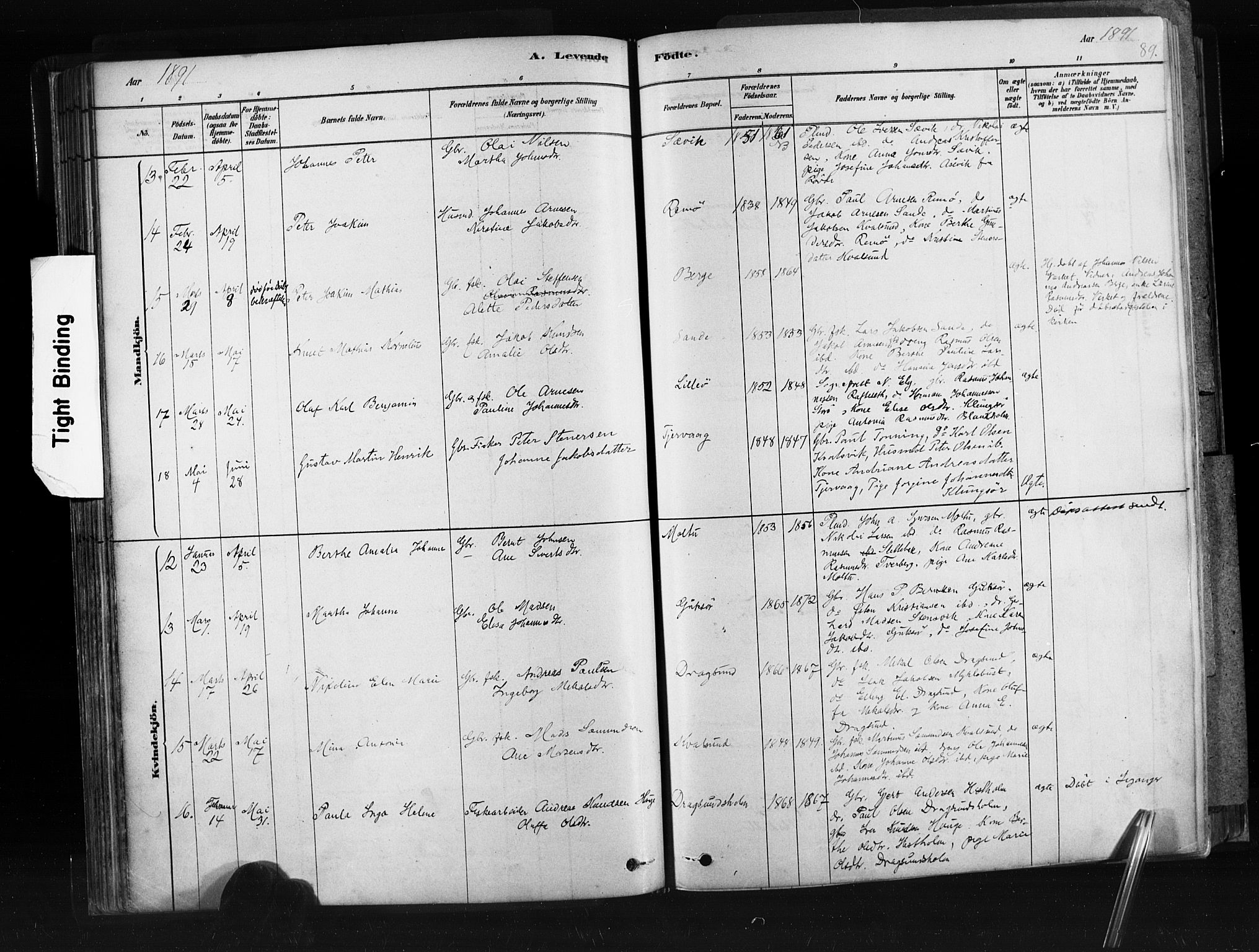 Ministerialprotokoller, klokkerbøker og fødselsregistre - Møre og Romsdal, SAT/A-1454/507/L0073: Parish register (official) no. 507A08, 1878-1904, p. 89