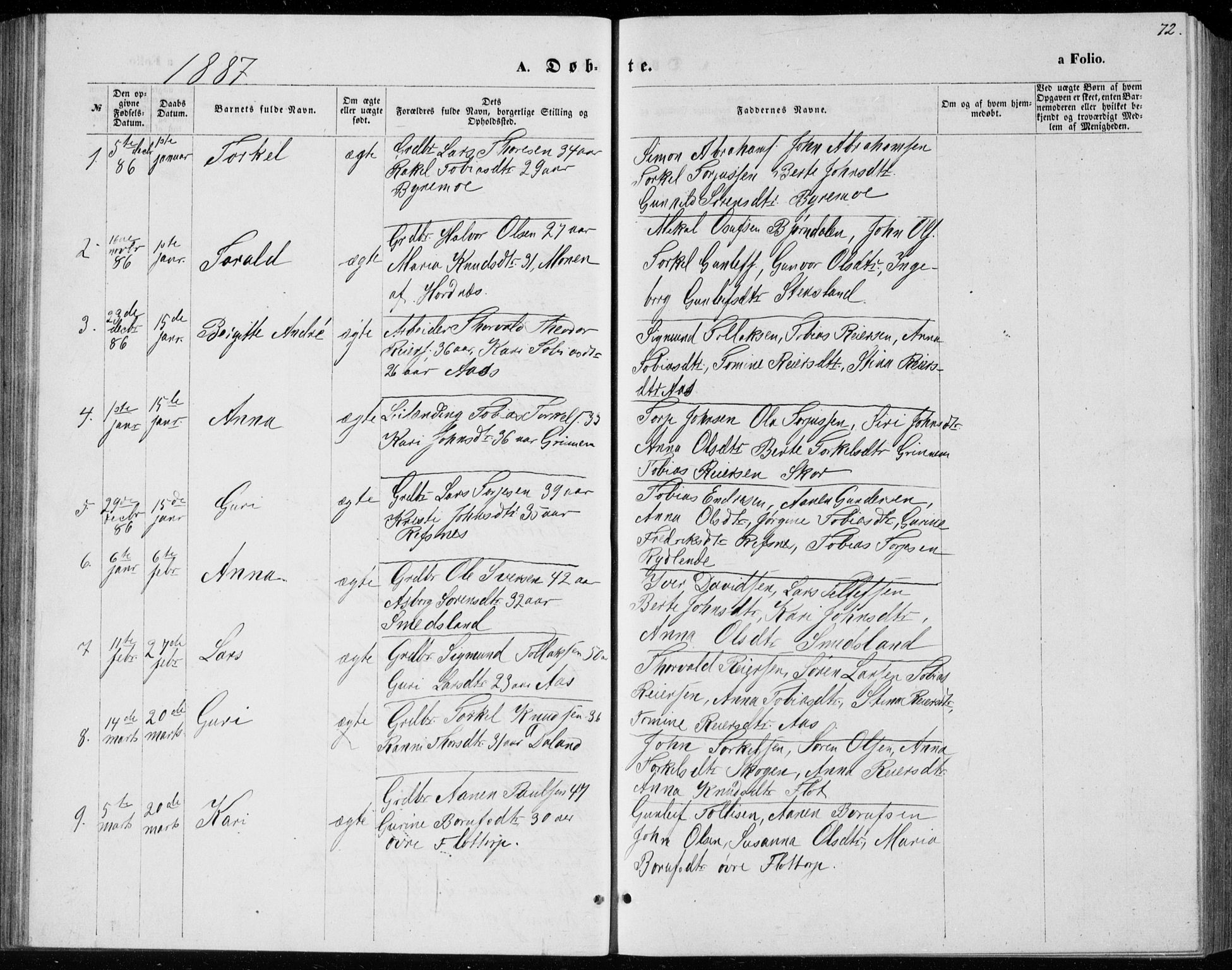 Bjelland sokneprestkontor, AV/SAK-1111-0005/F/Fb/Fbc/L0002: Parish register (copy) no. B 2, 1867-1887, p. 72