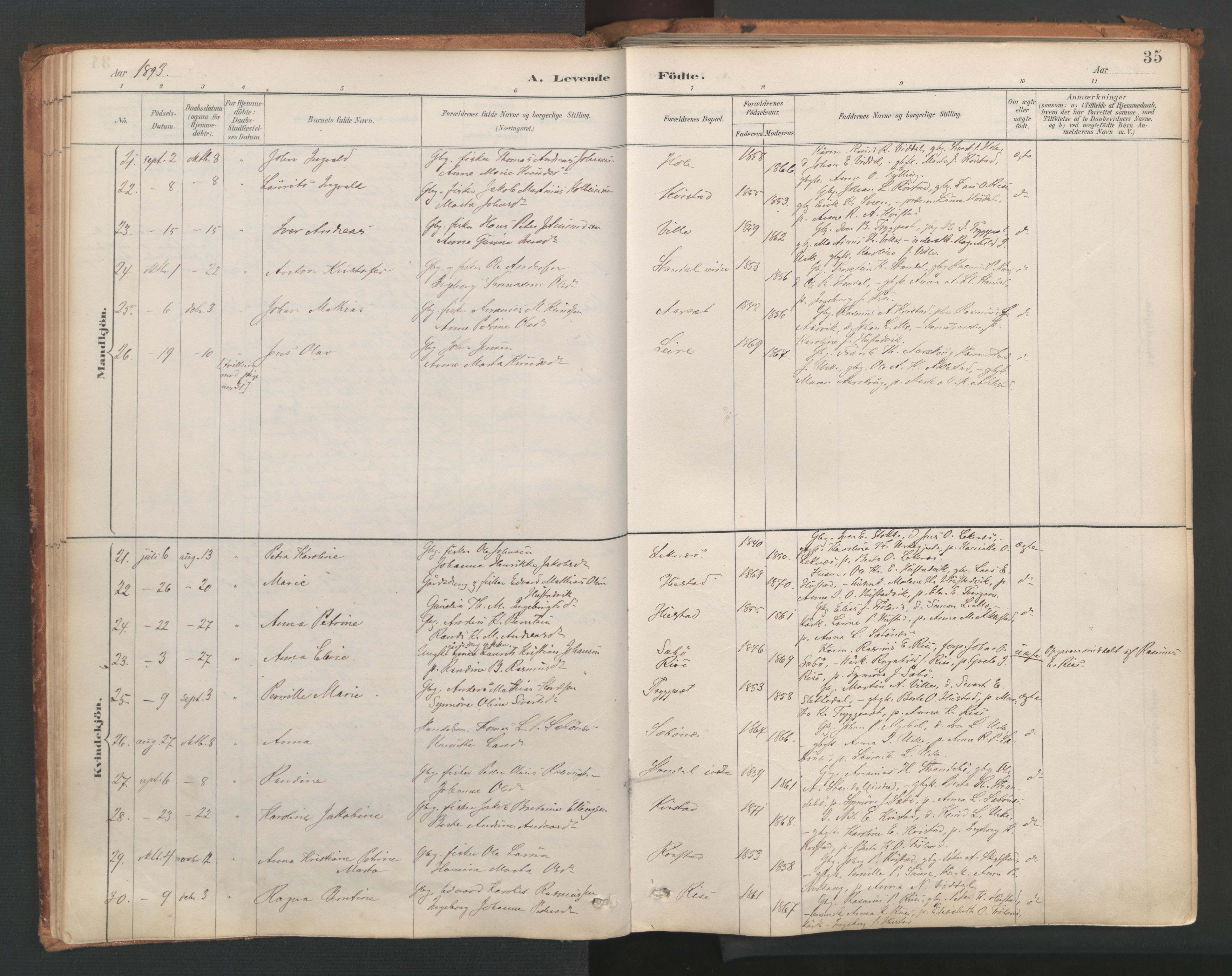 Ministerialprotokoller, klokkerbøker og fødselsregistre - Møre og Romsdal, SAT/A-1454/515/L0211: Parish register (official) no. 515A07, 1886-1910, p. 35
