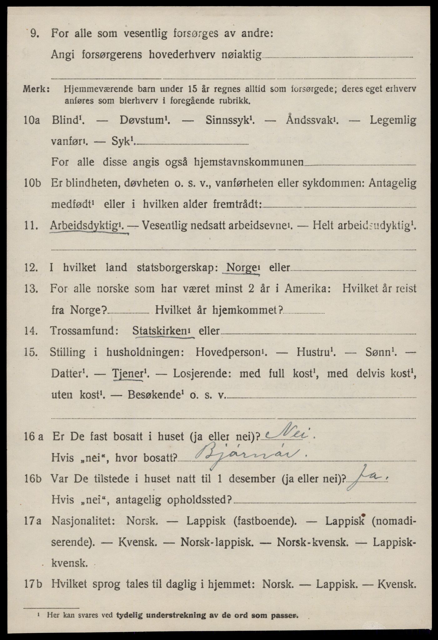 SAT, 1920 census for Børsa, 1920, p. 2528